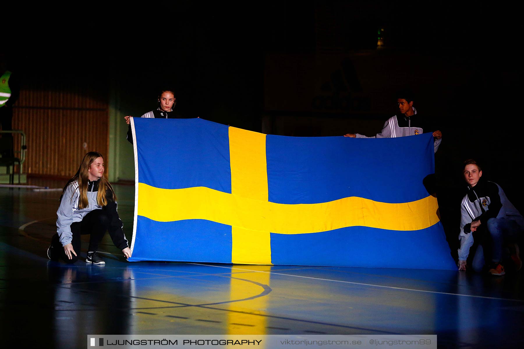 Landskamp Sverige-Finland 3-6,herr,Arena Skövde,Skövde,Sverige,Futsal,,2016,176783