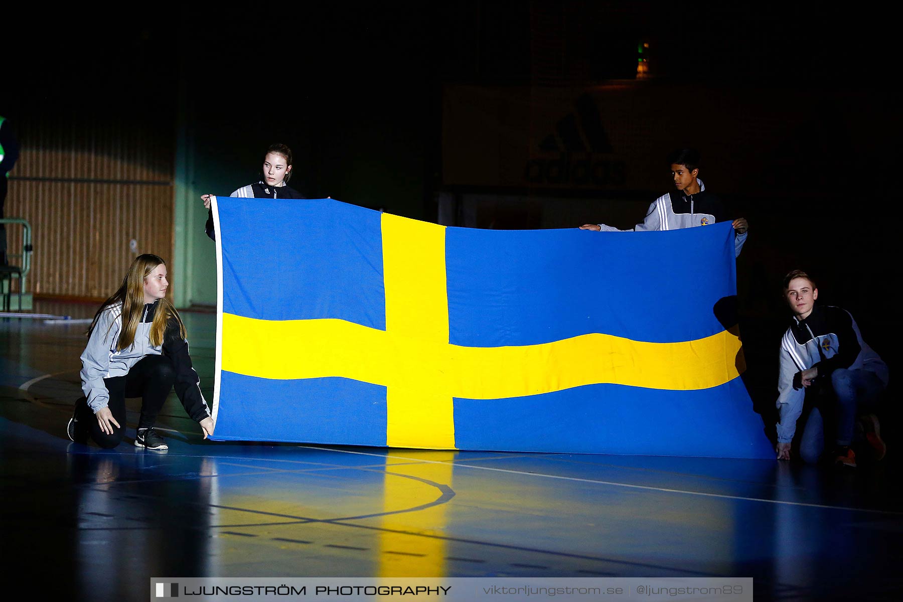 Landskamp Sverige-Finland 3-6,herr,Arena Skövde,Skövde,Sverige,Futsal,,2016,176784