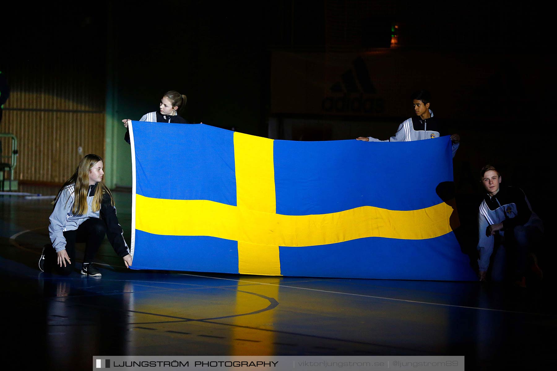 Landskamp Sverige-Finland 3-6,herr,Arena Skövde,Skövde,Sverige,Futsal,,2016,176785