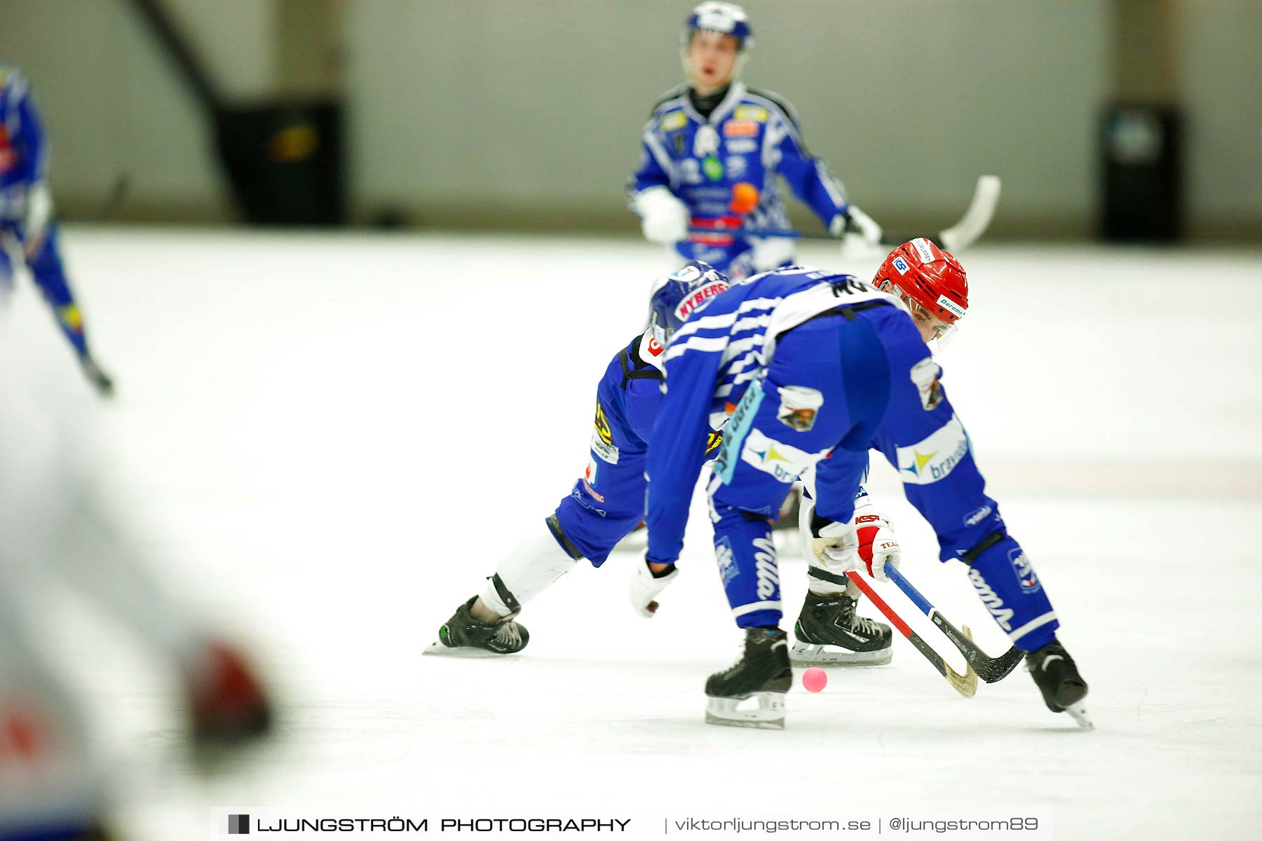 Villa Lidköping BK-IFK Kungälv 7-3,herr,Sparbanken Lidköping Arena,Lidköping,Sverige,Bandy,,2015,187866