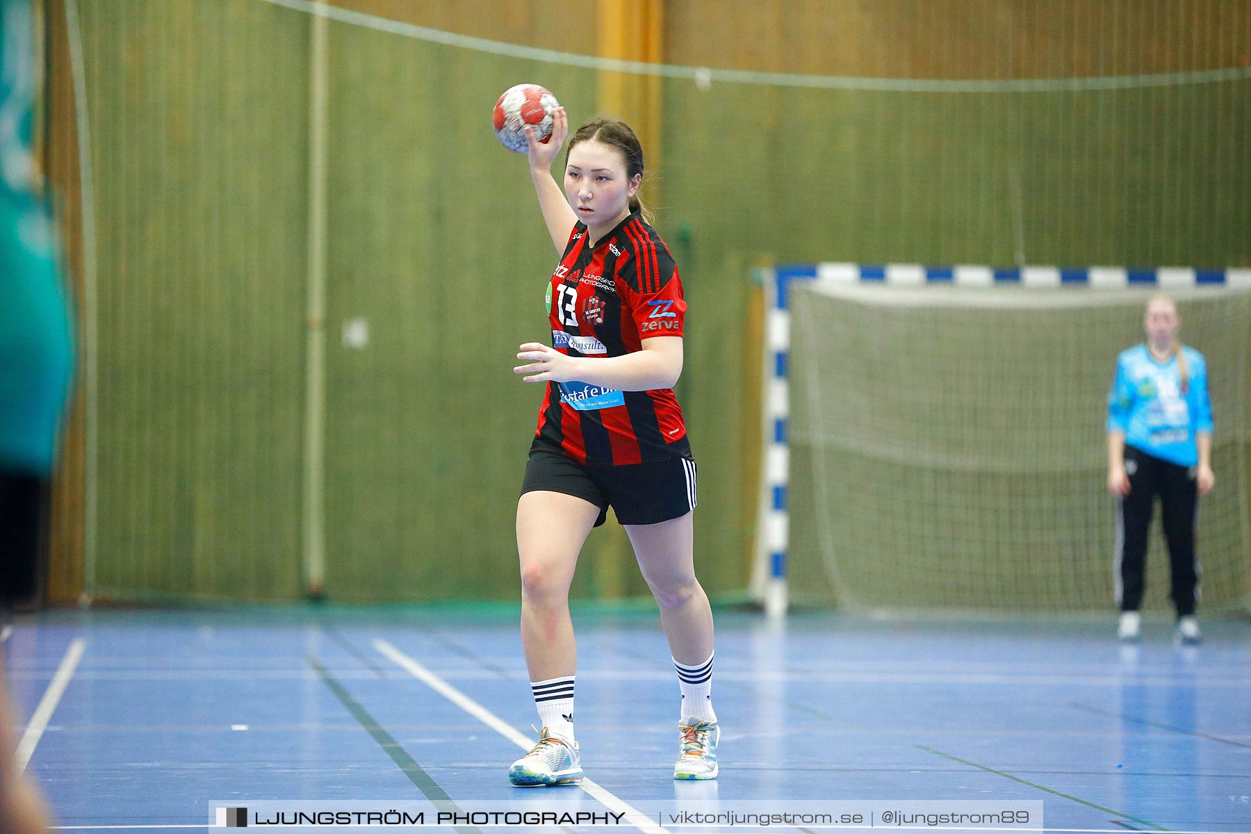 HK Country U-Tibro HK 15-27,dam,Arena Skövde,Skövde,Sverige,Handboll,,2017,192997