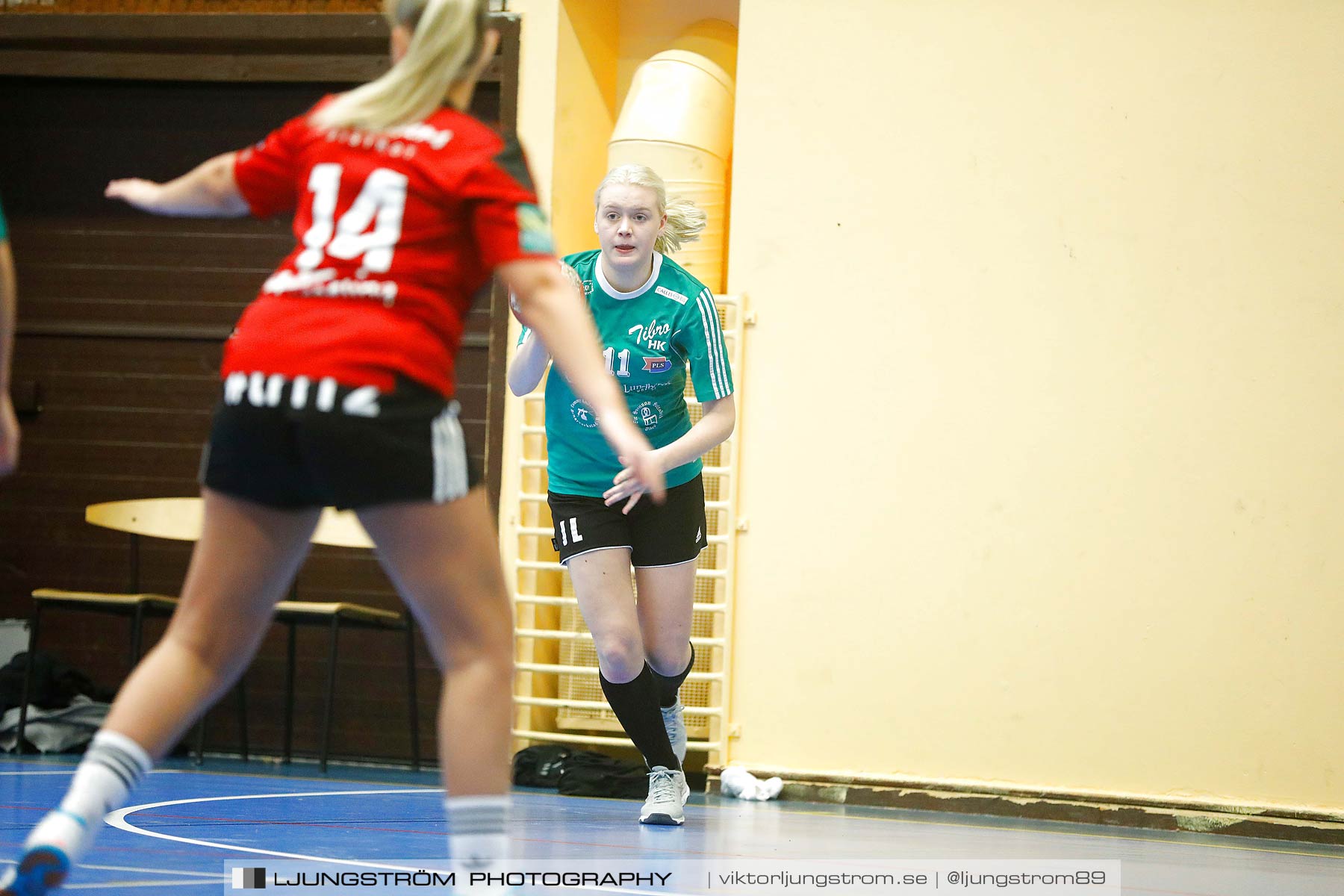 HK Country U-Tibro HK 15-27,dam,Arena Skövde,Skövde,Sverige,Handboll,,2017,193058