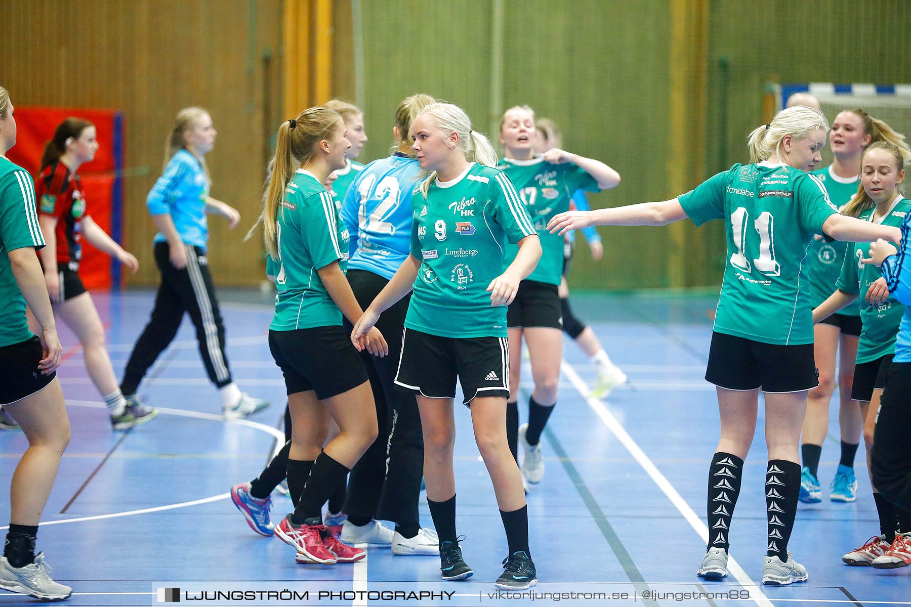 HK Country U-Tibro HK 15-27,dam,Arena Skövde,Skövde,Sverige,Handboll,,2017,193067