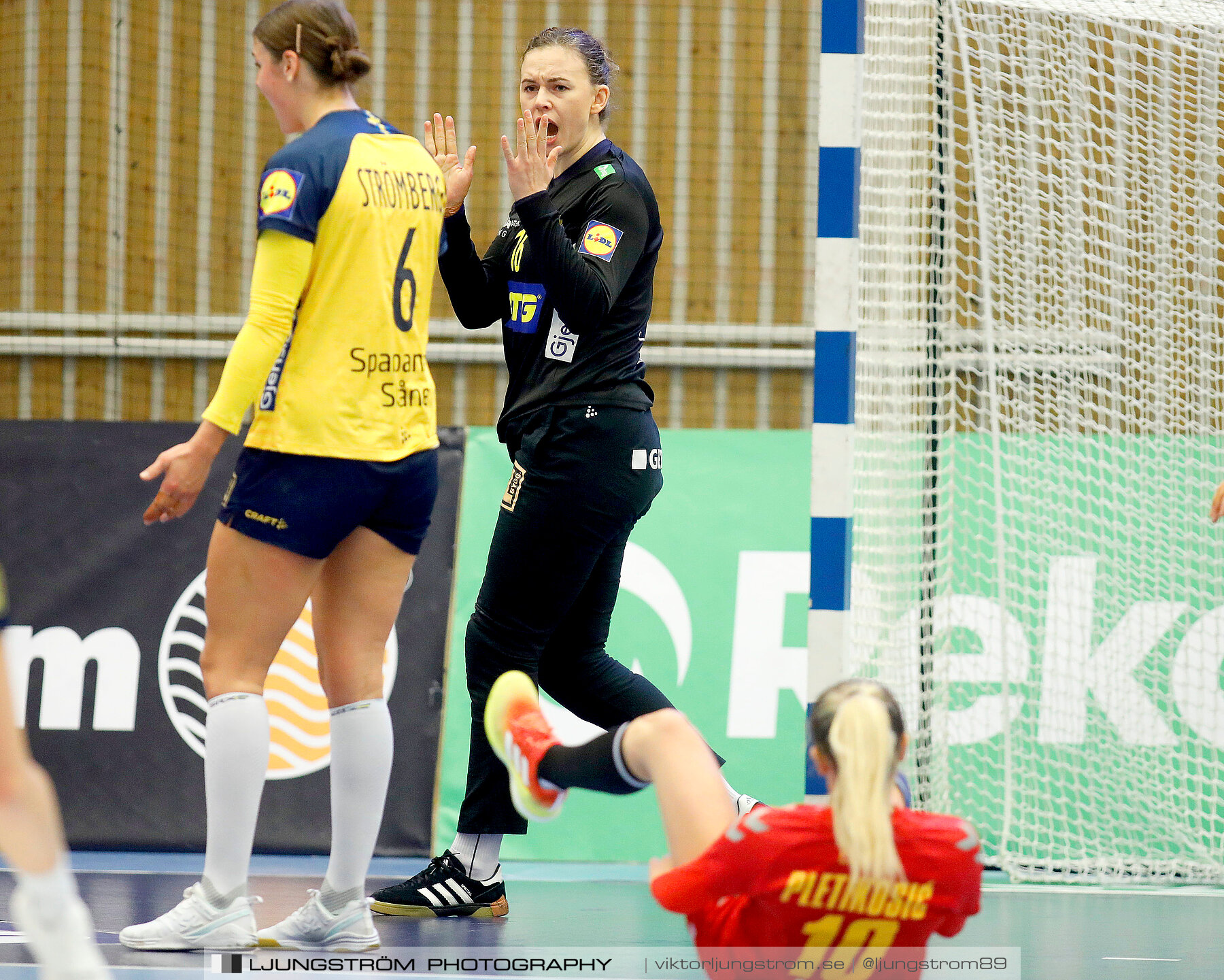 Landskamp Sverige-Montenegro 31-26,dam,Arena Skövde,Skövde,Sverige,Handboll,,2021,273147