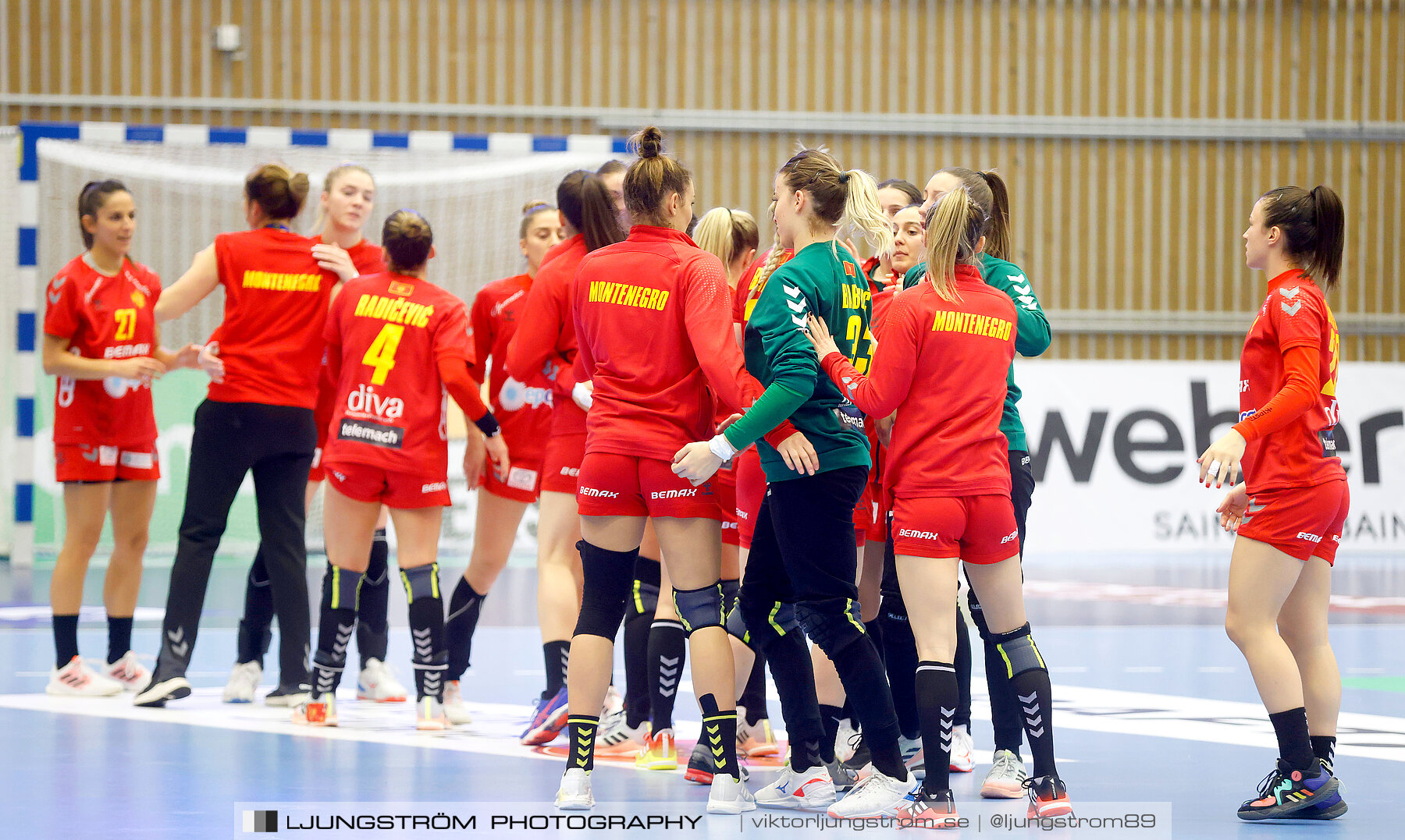 Landskamp Sverige-Montenegro 31-26,dam,Arena Skövde,Skövde,Sverige,Handboll,,2021,273718