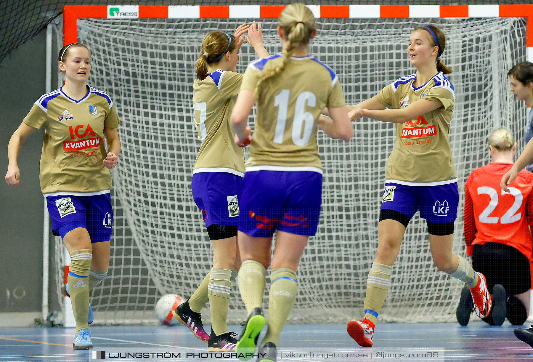 Falköping Futsal Club-Södra Sandby IF 2-9,dam,Odenhallen,Falköping,Sverige,Futsal,,2022,275832