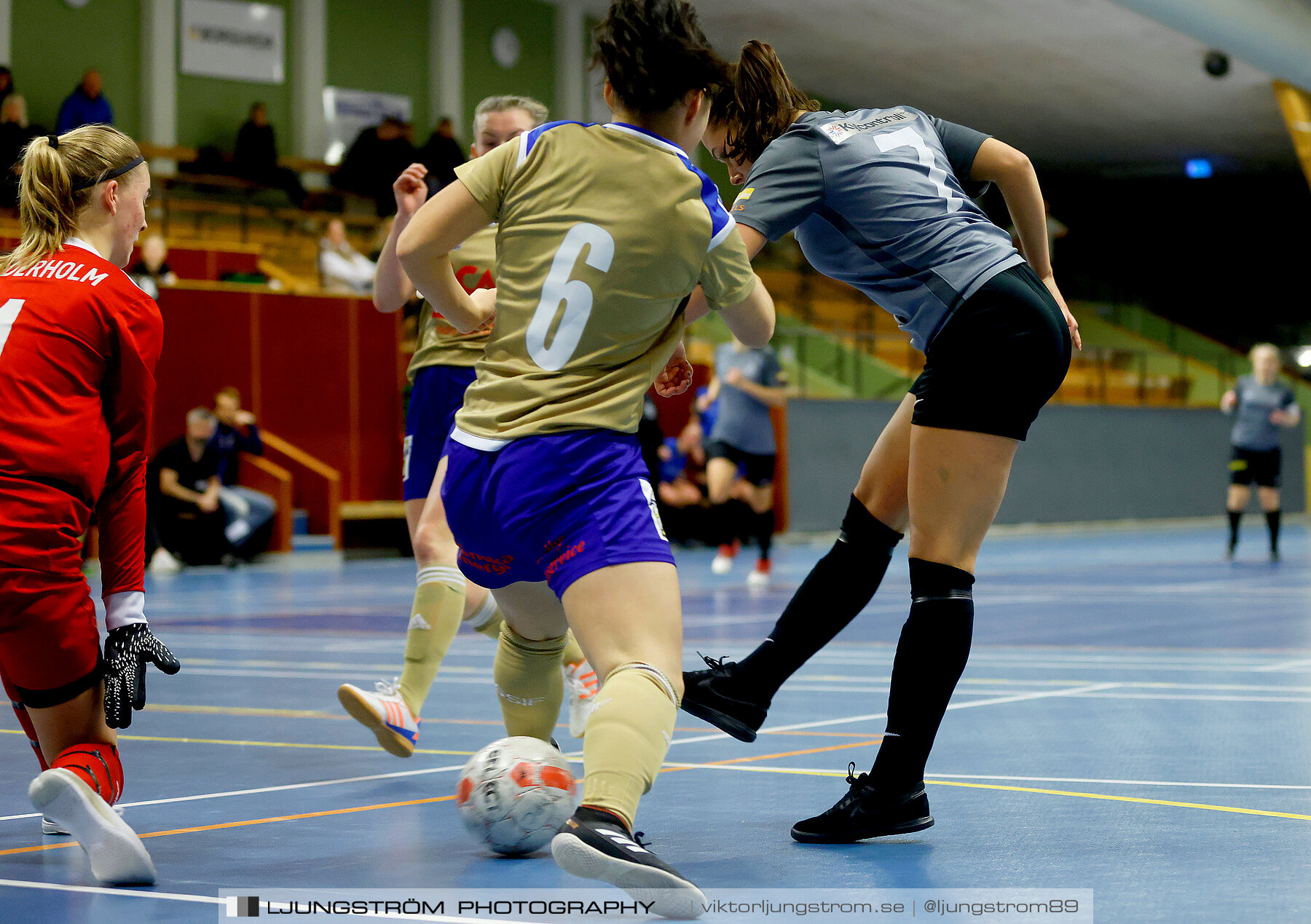 Falköping Futsal Club-Södra Sandby IF 2-9,dam,Odenhallen,Falköping,Sverige,Futsal,,2022,275853