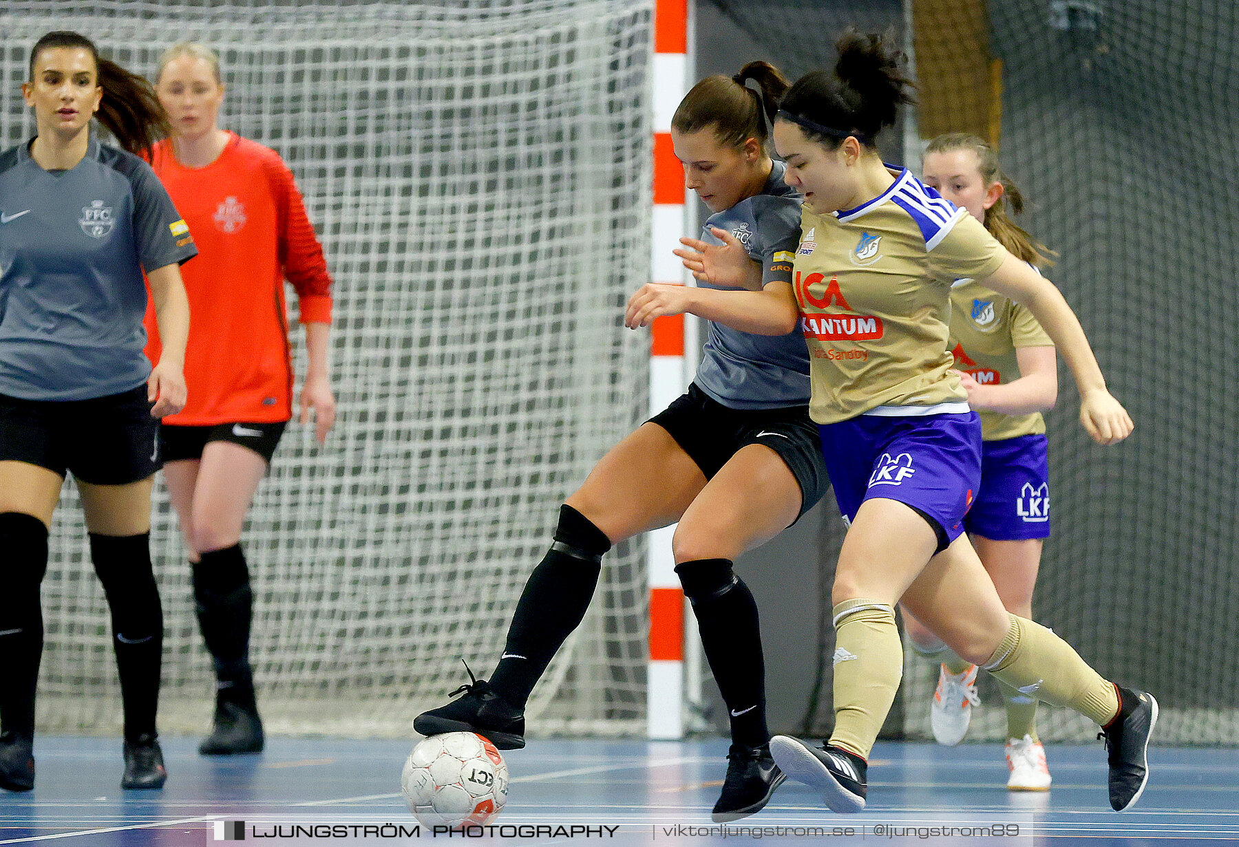 Falköping Futsal Club-Södra Sandby IF 2-9,dam,Odenhallen,Falköping,Sverige,Futsal,,2022,275875