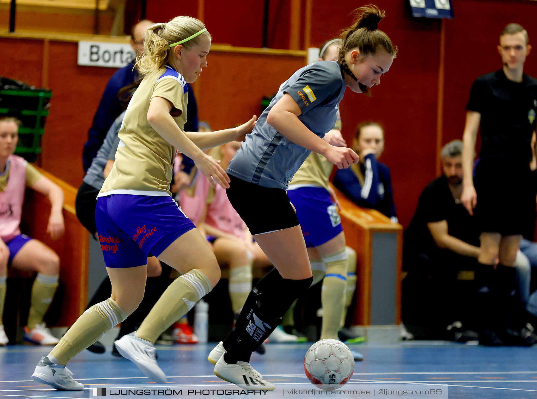 Falköping Futsal Club-Södra Sandby IF 2-9,dam,Odenhallen,Falköping,Sverige,Futsal,,2022,275878
