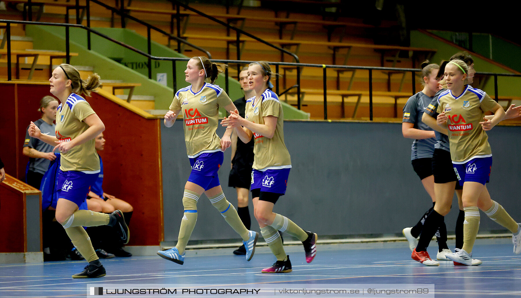 Falköping Futsal Club-Södra Sandby IF 2-9,dam,Odenhallen,Falköping,Sverige,Futsal,,2022,275905