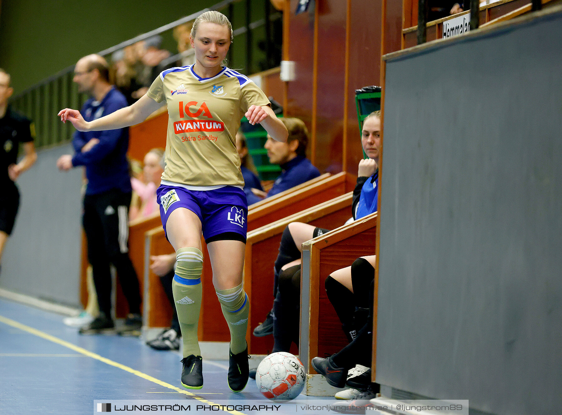 Falköping Futsal Club-Södra Sandby IF 2-9,dam,Odenhallen,Falköping,Sverige,Futsal,,2022,275981