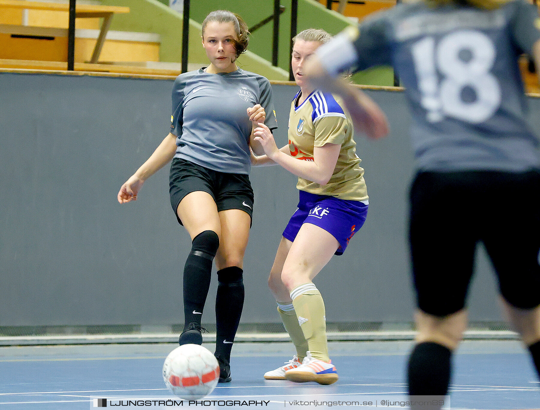 Falköping Futsal Club-Södra Sandby IF 2-9,dam,Odenhallen,Falköping,Sverige,Futsal,,2022,275982