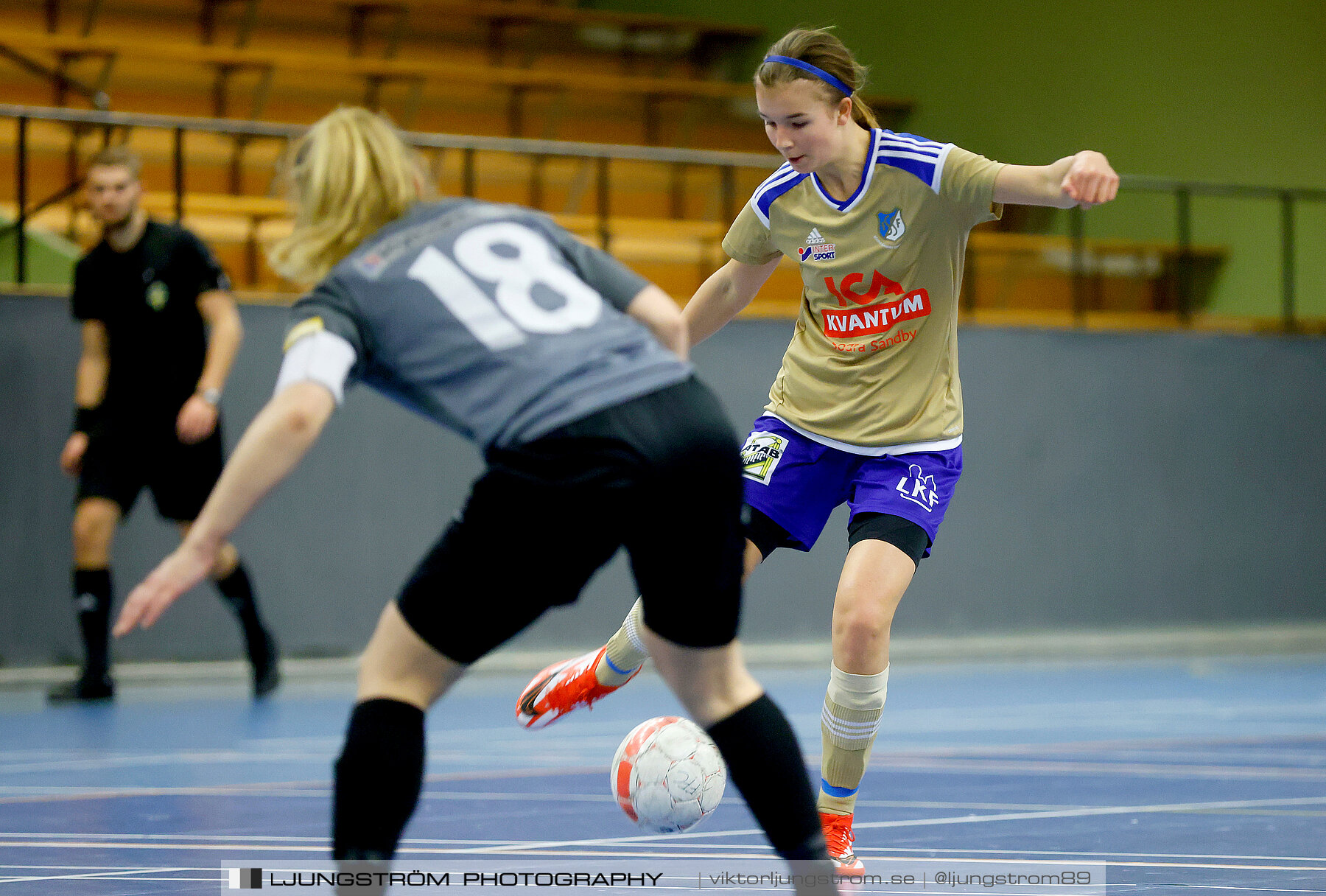 Falköping Futsal Club-Södra Sandby IF 2-9,dam,Odenhallen,Falköping,Sverige,Futsal,,2022,275983