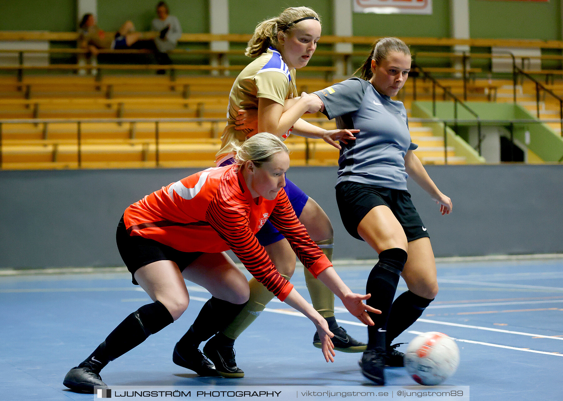 Falköping Futsal Club-Södra Sandby IF 2-9,dam,Odenhallen,Falköping,Sverige,Futsal,,2022,275987