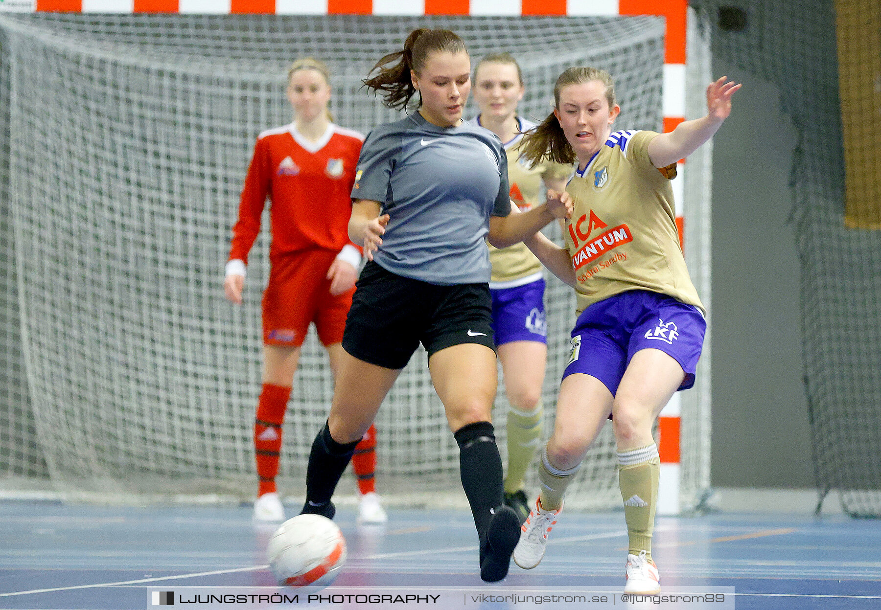 Falköping Futsal Club-Södra Sandby IF 2-9,dam,Odenhallen,Falköping,Sverige,Futsal,,2022,276005