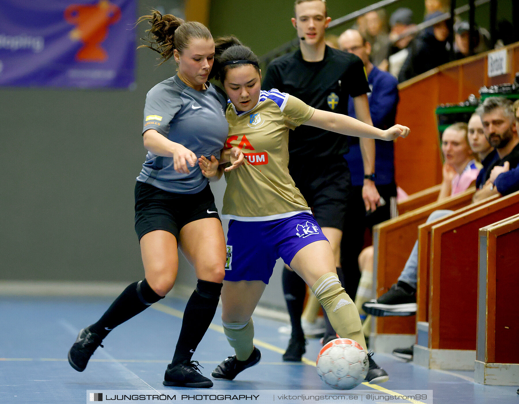 Falköping Futsal Club-Södra Sandby IF 2-9,dam,Odenhallen,Falköping,Sverige,Futsal,,2022,276015