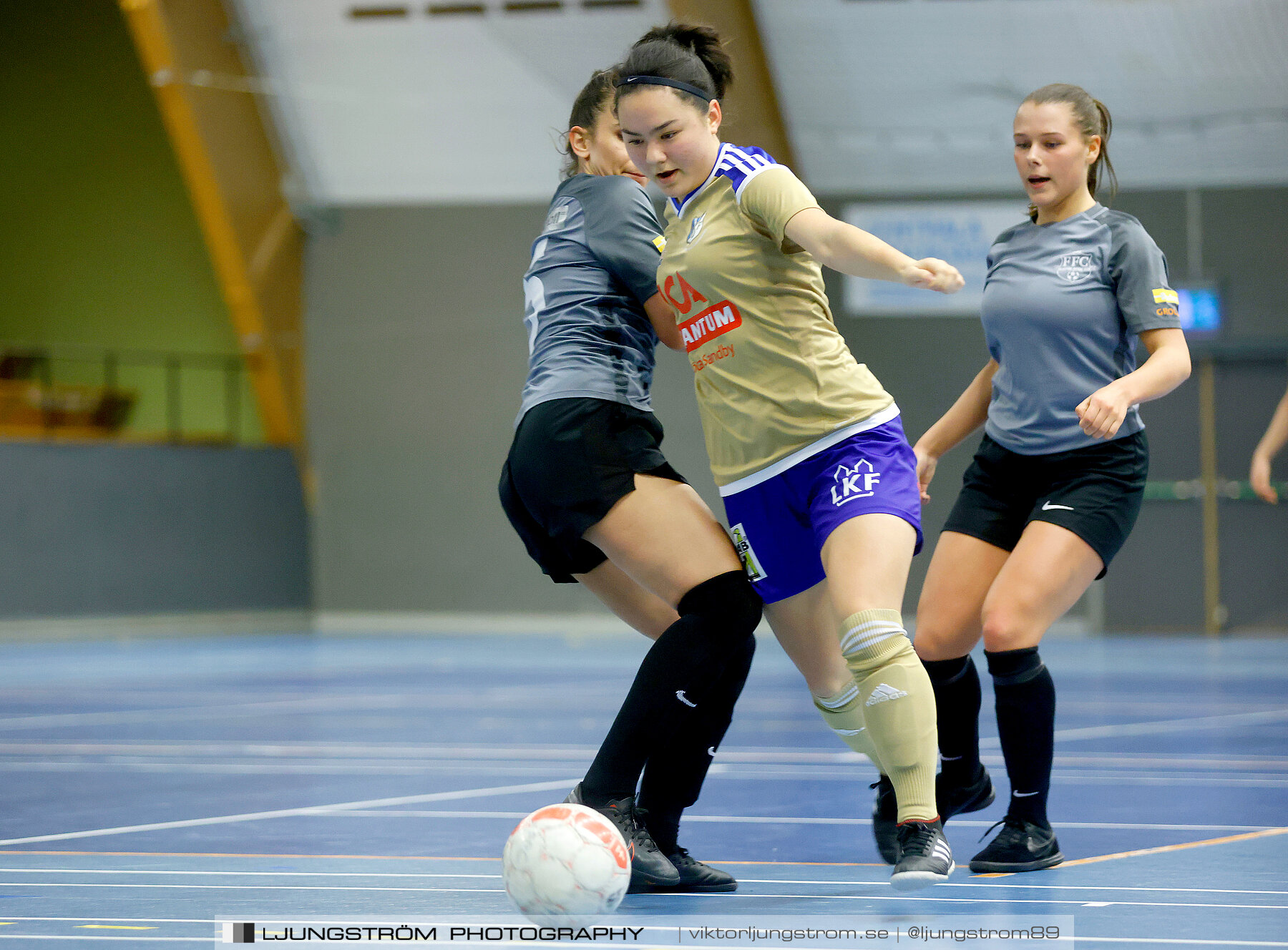 Falköping Futsal Club-Södra Sandby IF 2-9,dam,Odenhallen,Falköping,Sverige,Futsal,,2022,276017