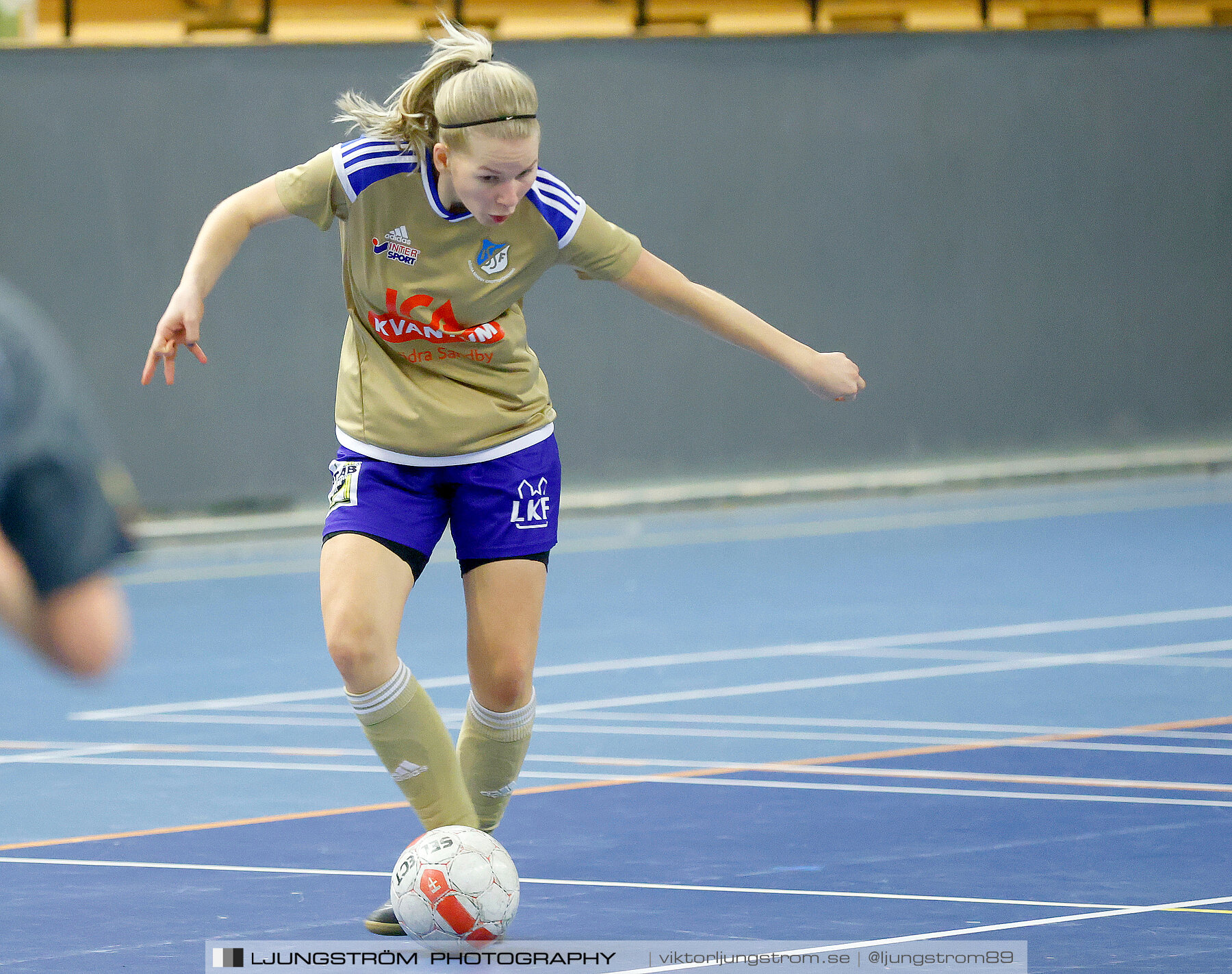 Falköping Futsal Club-Södra Sandby IF 2-9,dam,Odenhallen,Falköping,Sverige,Futsal,,2022,276022