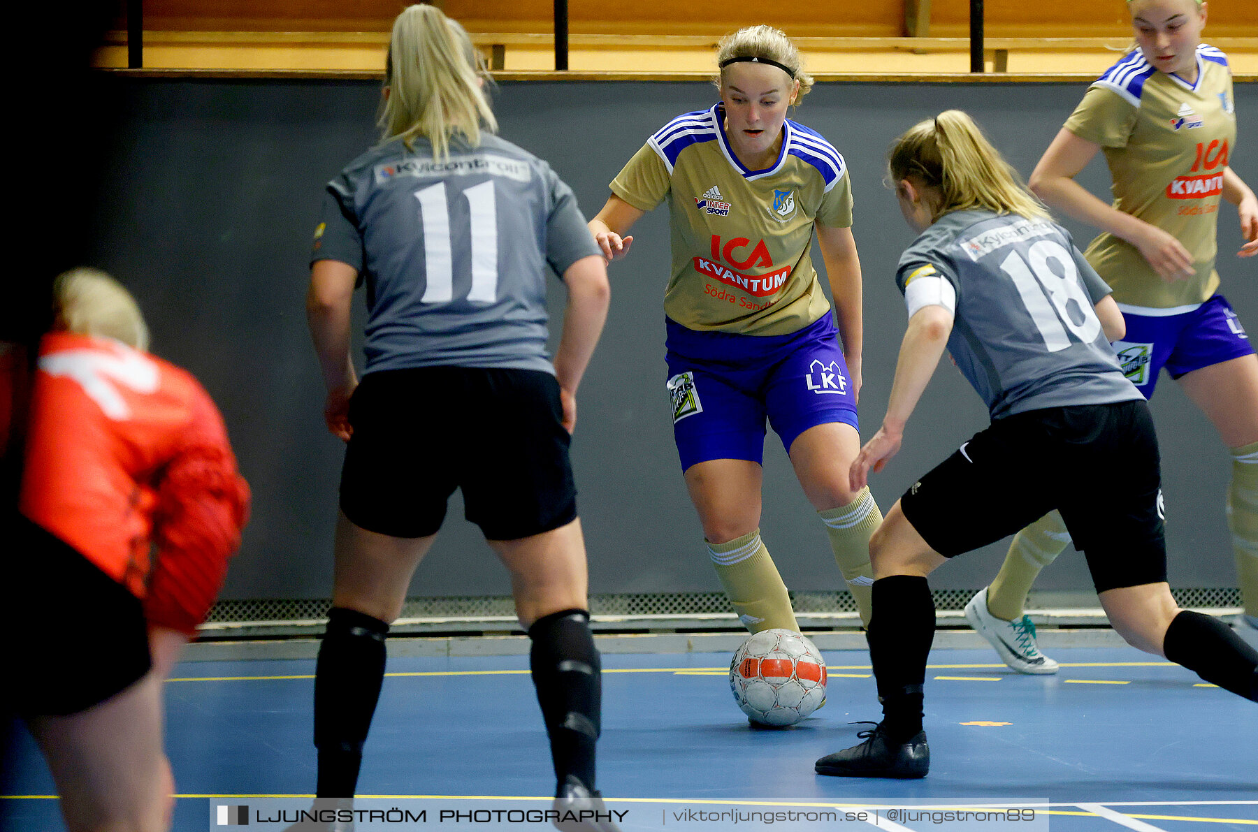 Falköping Futsal Club-Södra Sandby IF 2-9,dam,Odenhallen,Falköping,Sverige,Futsal,,2022,276026