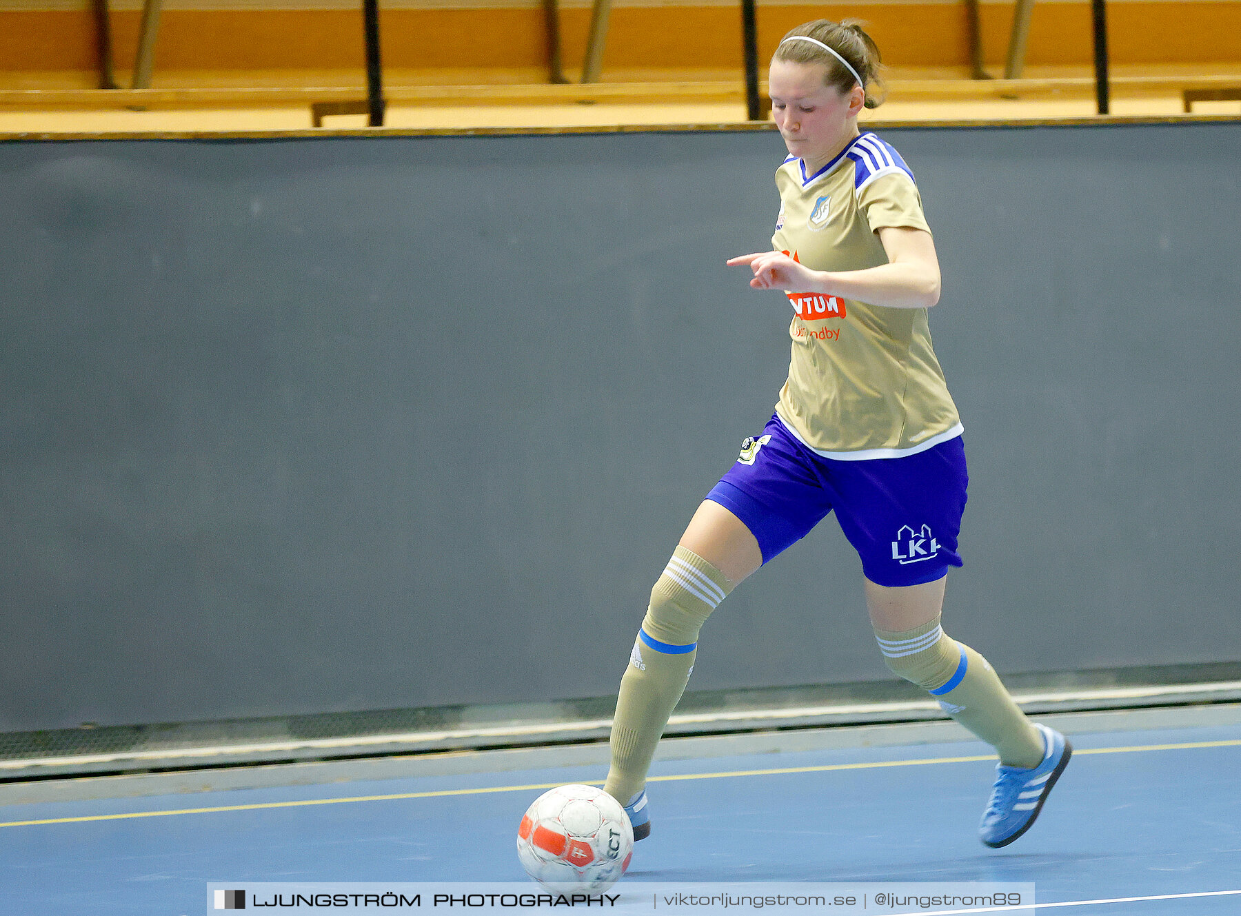 Falköping Futsal Club-Södra Sandby IF 2-9,dam,Odenhallen,Falköping,Sverige,Futsal,,2022,276030