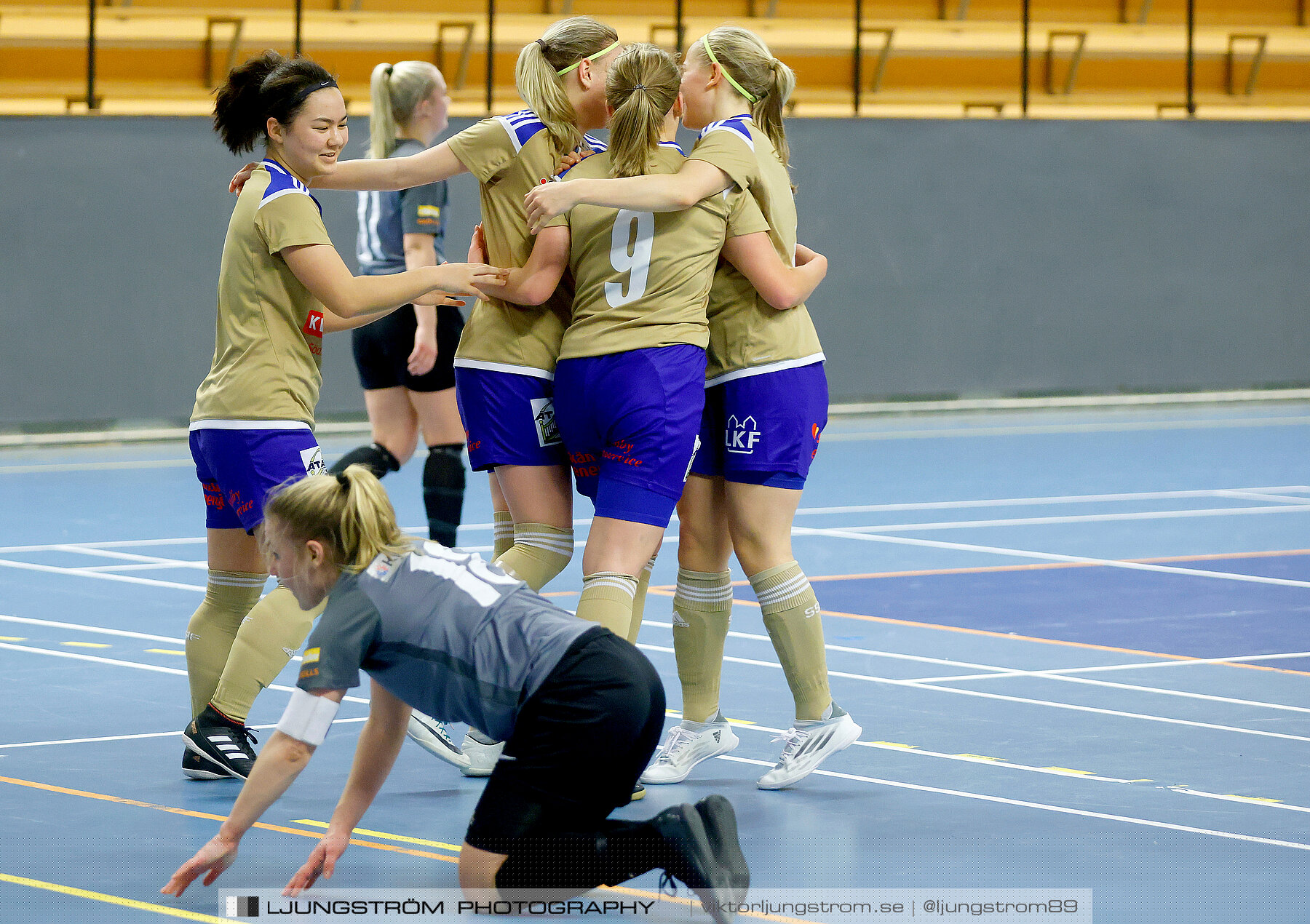 Falköping Futsal Club-Södra Sandby IF 2-9,dam,Odenhallen,Falköping,Sverige,Futsal,,2022,276041