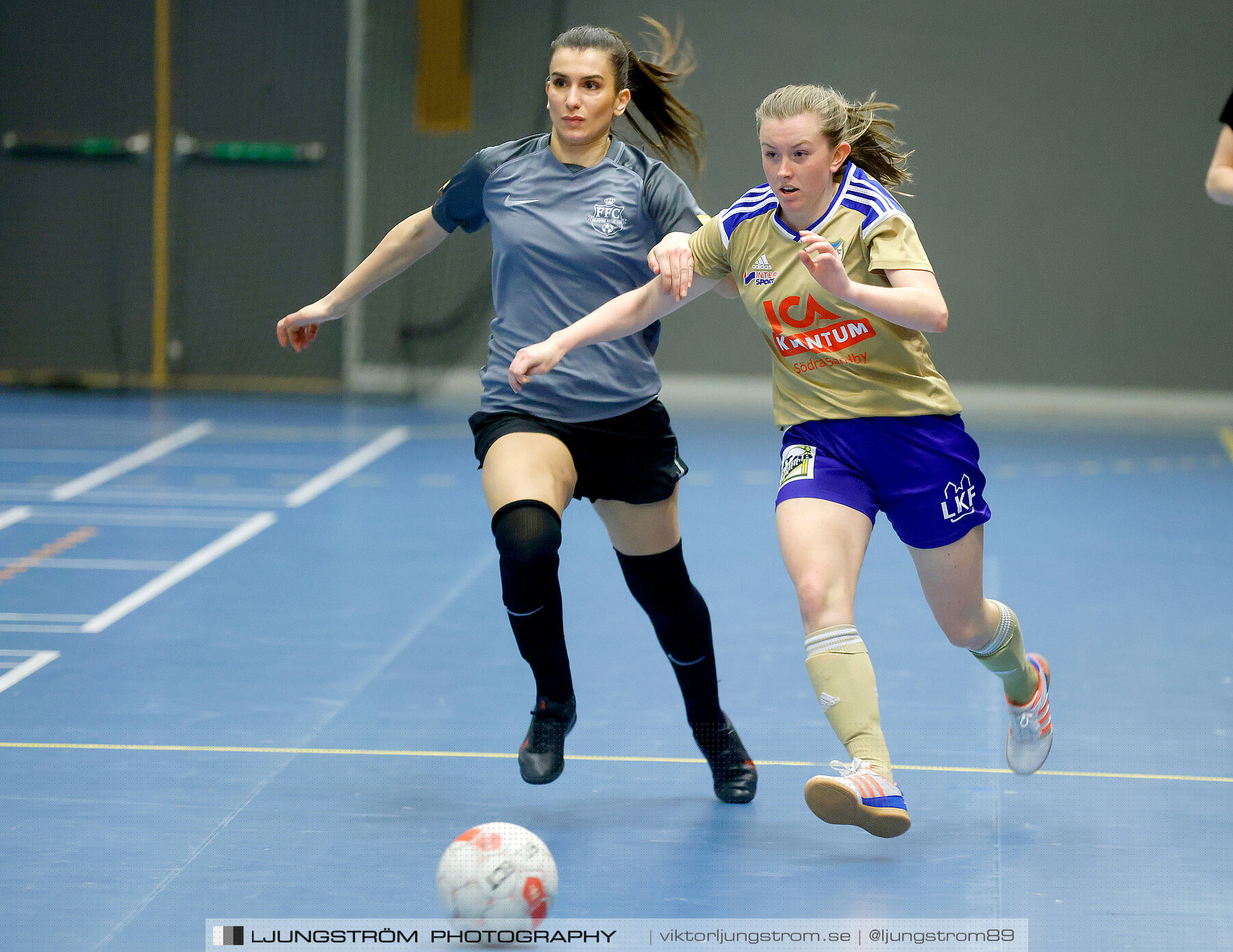 Falköping Futsal Club-Södra Sandby IF 2-9,dam,Odenhallen,Falköping,Sverige,Futsal,,2022,276048