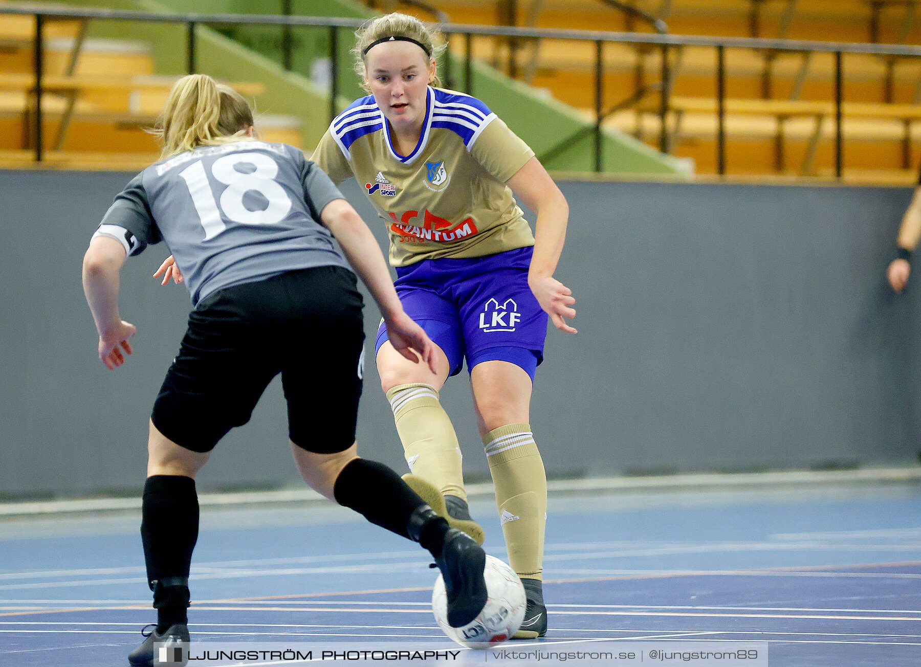 Falköping Futsal Club-Södra Sandby IF 2-9,dam,Odenhallen,Falköping,Sverige,Futsal,,2022,276057