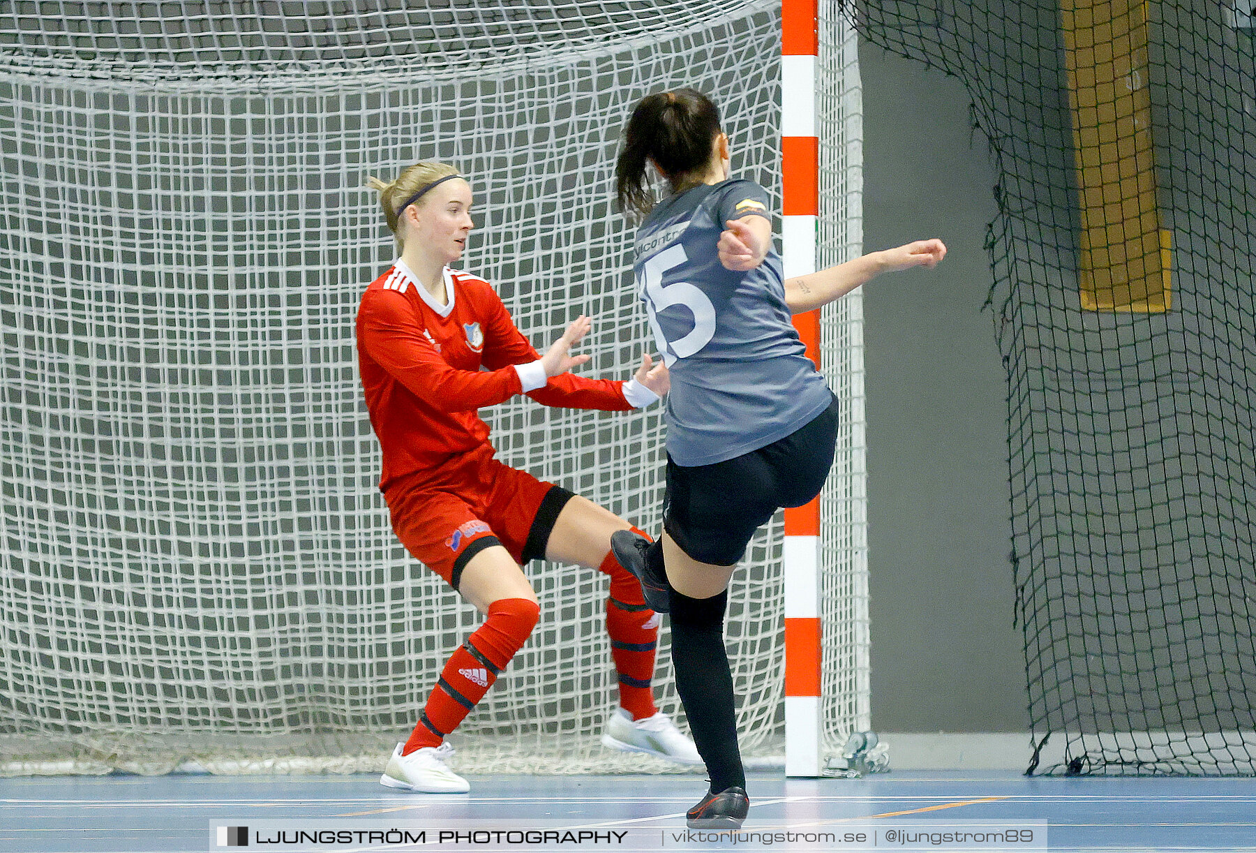 Falköping Futsal Club-Södra Sandby IF 2-9,dam,Odenhallen,Falköping,Sverige,Futsal,,2022,276060