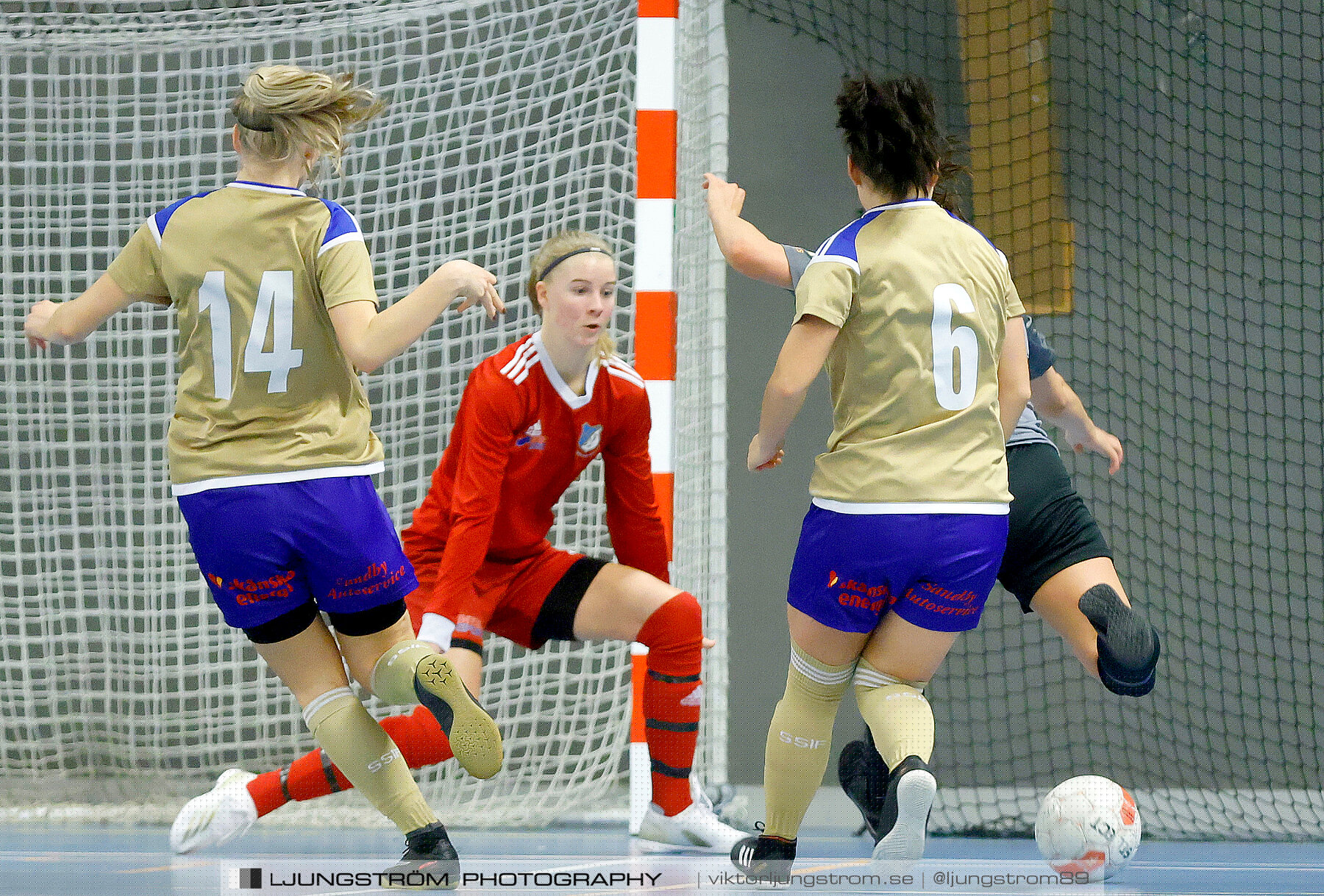 Falköping Futsal Club-Södra Sandby IF 2-9,dam,Odenhallen,Falköping,Sverige,Futsal,,2022,276061