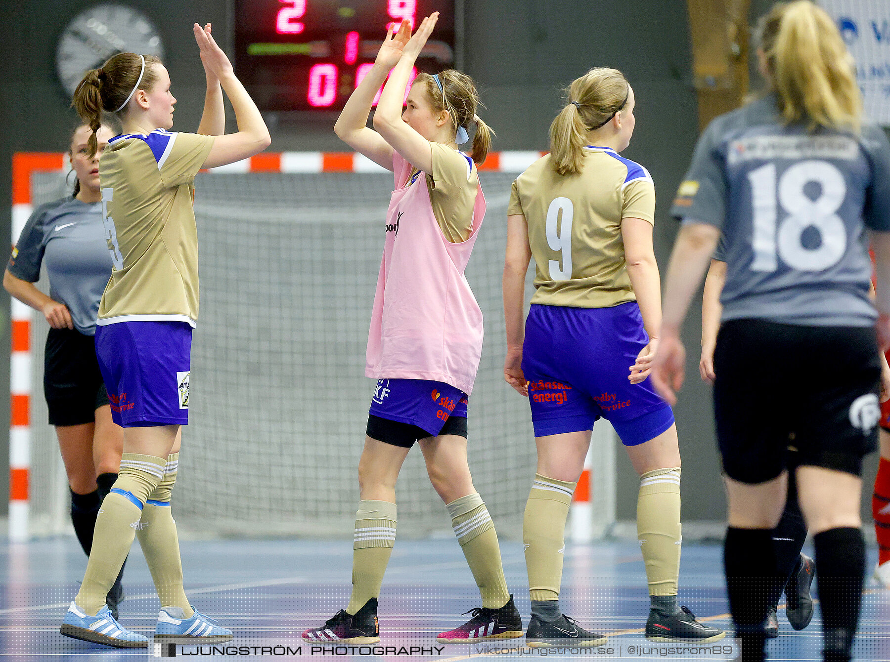 Falköping Futsal Club-Södra Sandby IF 2-9,dam,Odenhallen,Falköping,Sverige,Futsal,,2022,276082