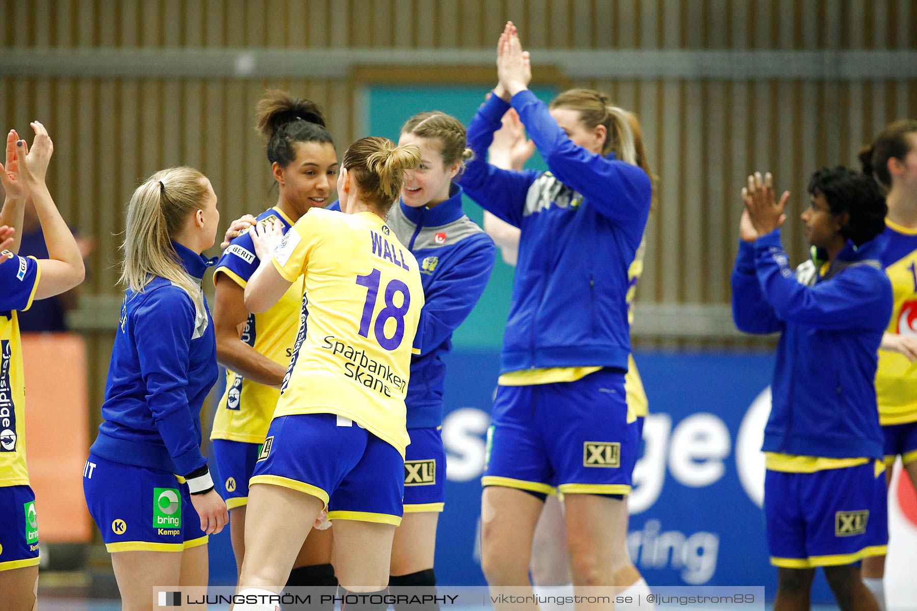 EM-Kval Sverige-Serbien 31-30,dam,Arena Skövde,Skövde,Sverige,Handboll,,2018,199728