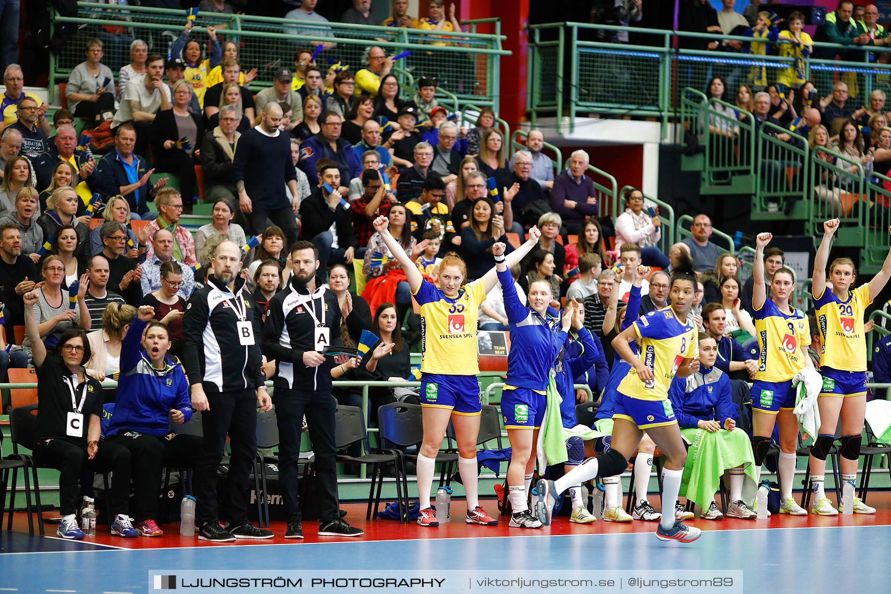 EM-Kval Sverige-Serbien 31-30,dam,Arena Skövde,Skövde,Sverige,Handboll,,2018,199843