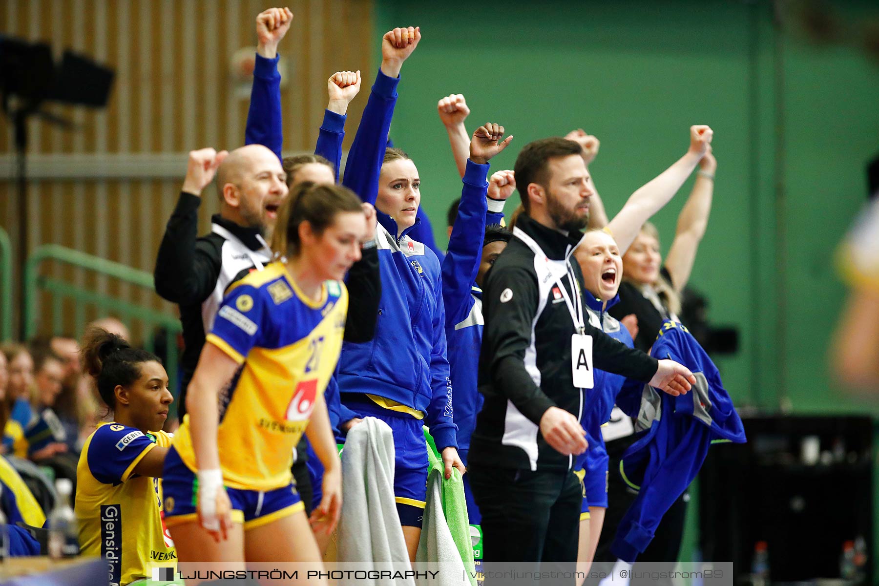 EM-Kval Sverige-Serbien 31-30,dam,Arena Skövde,Skövde,Sverige,Handboll,,2018,199926