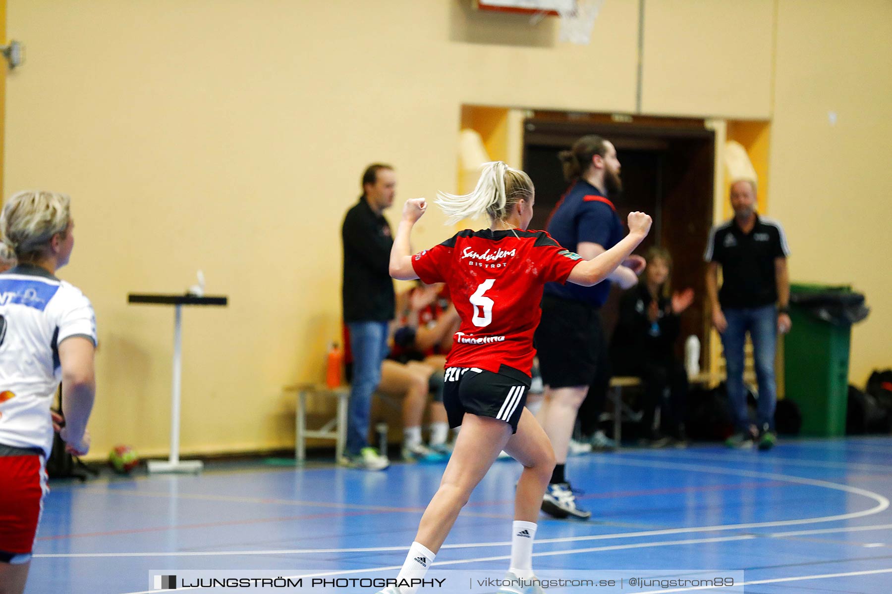 HK Country-Borås HK 84 27-20,dam,Arena Skövde,Skövde,Sverige,Handboll,,2018,207414