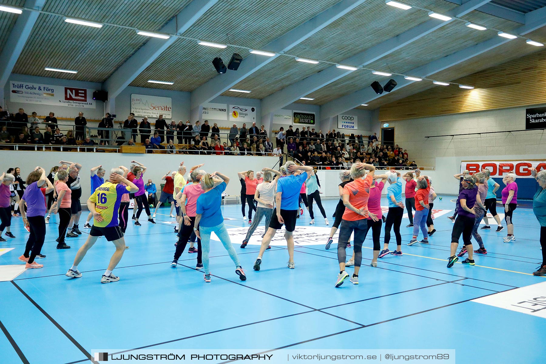 Skara HF-VästeråsIrsta HF 32-20,dam,Skara Idrottshall,Skara,Sverige,Handboll,,2019,215830