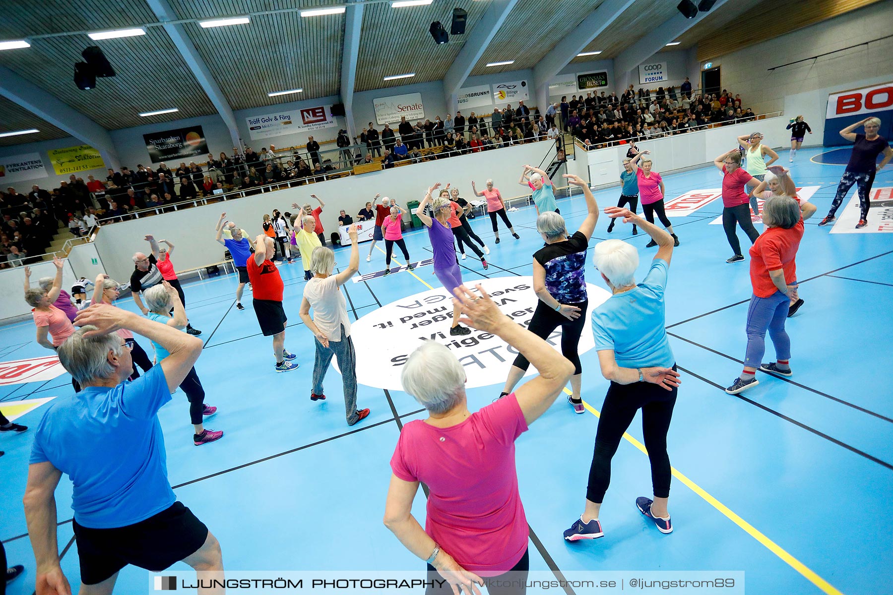 Skara HF-VästeråsIrsta HF 32-20,dam,Skara Idrottshall,Skara,Sverige,Handboll,,2019,215831