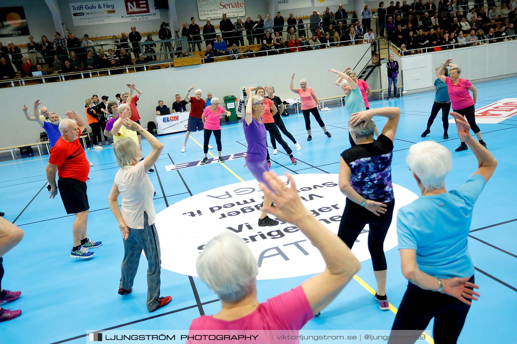 Skara HF-VästeråsIrsta HF 32-20,dam,Skara Idrottshall,Skara,Sverige,Handboll,,2019,215832