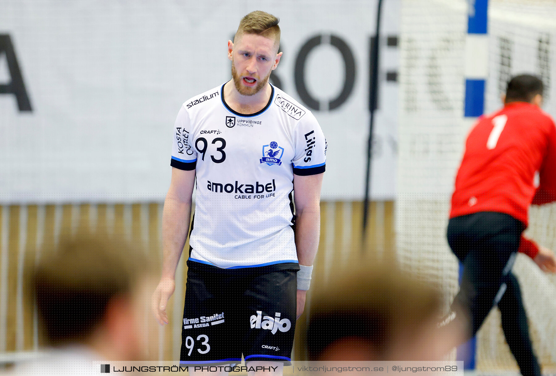 IFK Skövde HK-Amo HK 34-29,herr,Arena Skövde,Skövde,Sverige,Handboll,,2024,331841