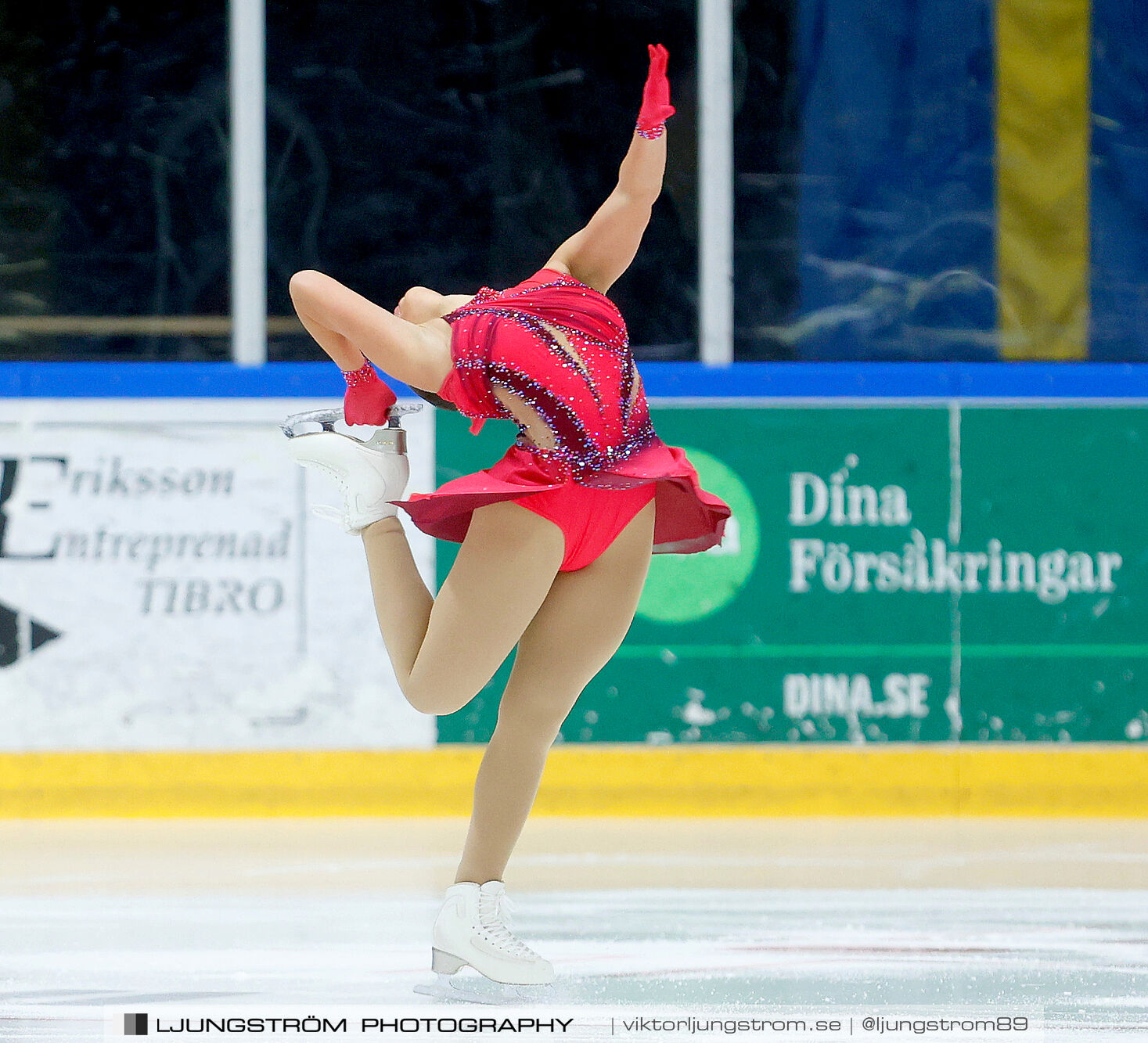 Lars Gs Pokal Nationell Serie Juniorer Damer,dam,Tibro Ishall,Tibro,Sverige,Konståkning,,2024,351058