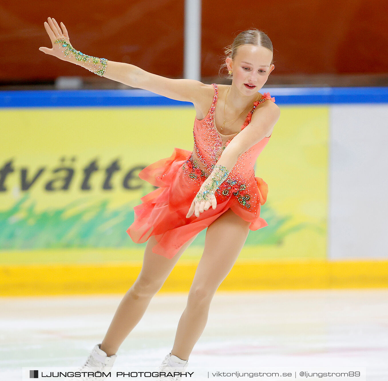 Lars Gs Pokal Nationell Serie Juniorer Damer,dam,Tibro Ishall,Tibro,Sverige,Konståkning,,2024,351394