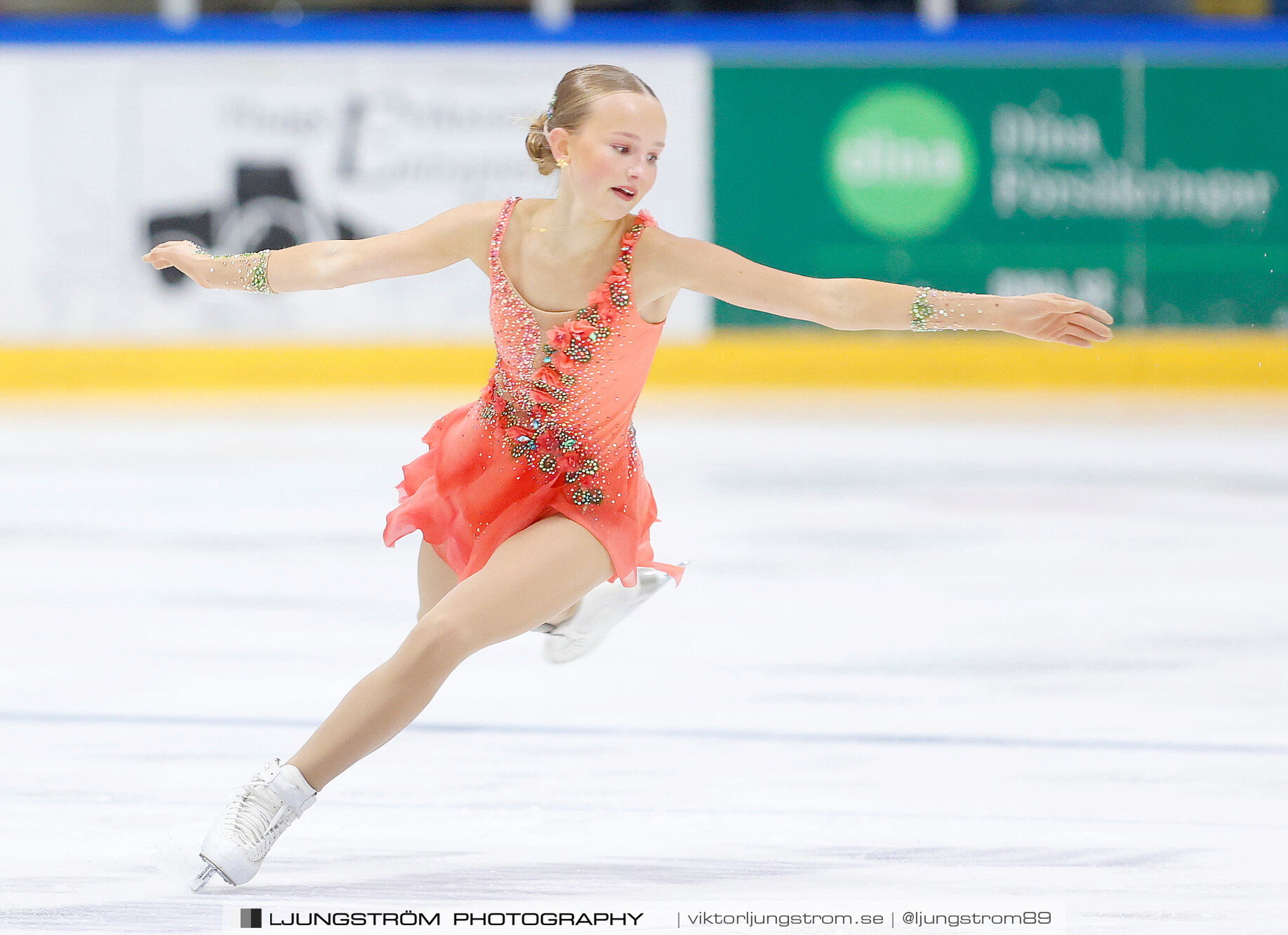 Lars Gs Pokal Nationell Serie Juniorer Damer,dam,Tibro Ishall,Tibro,Sverige,Konståkning,,2024,351396