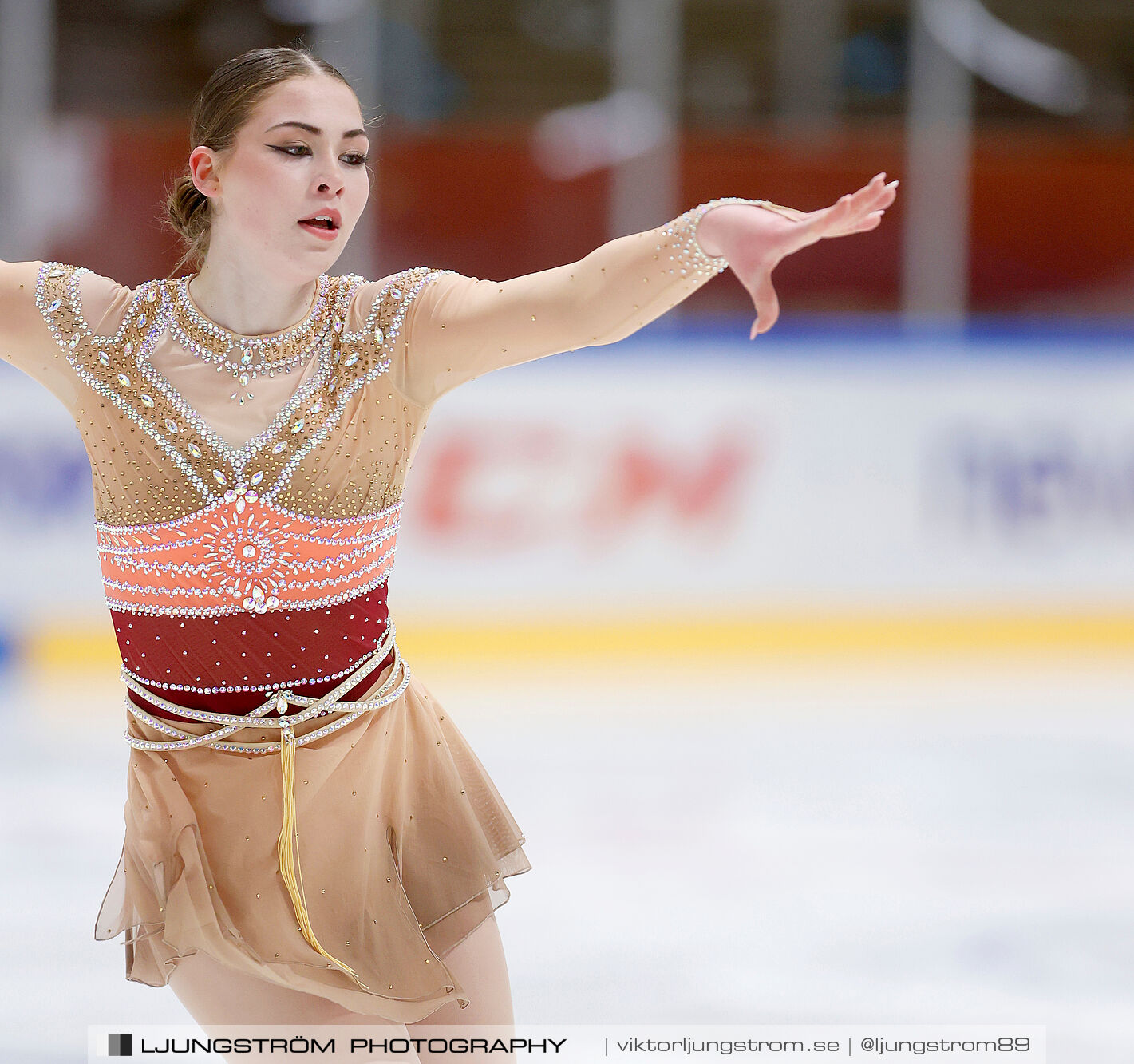 Lars Gs Pokal Nationell Serie Seniorer Damer,dam,Tibro Ishall,Tibro,Sverige,Konståkning,,2024,351515
