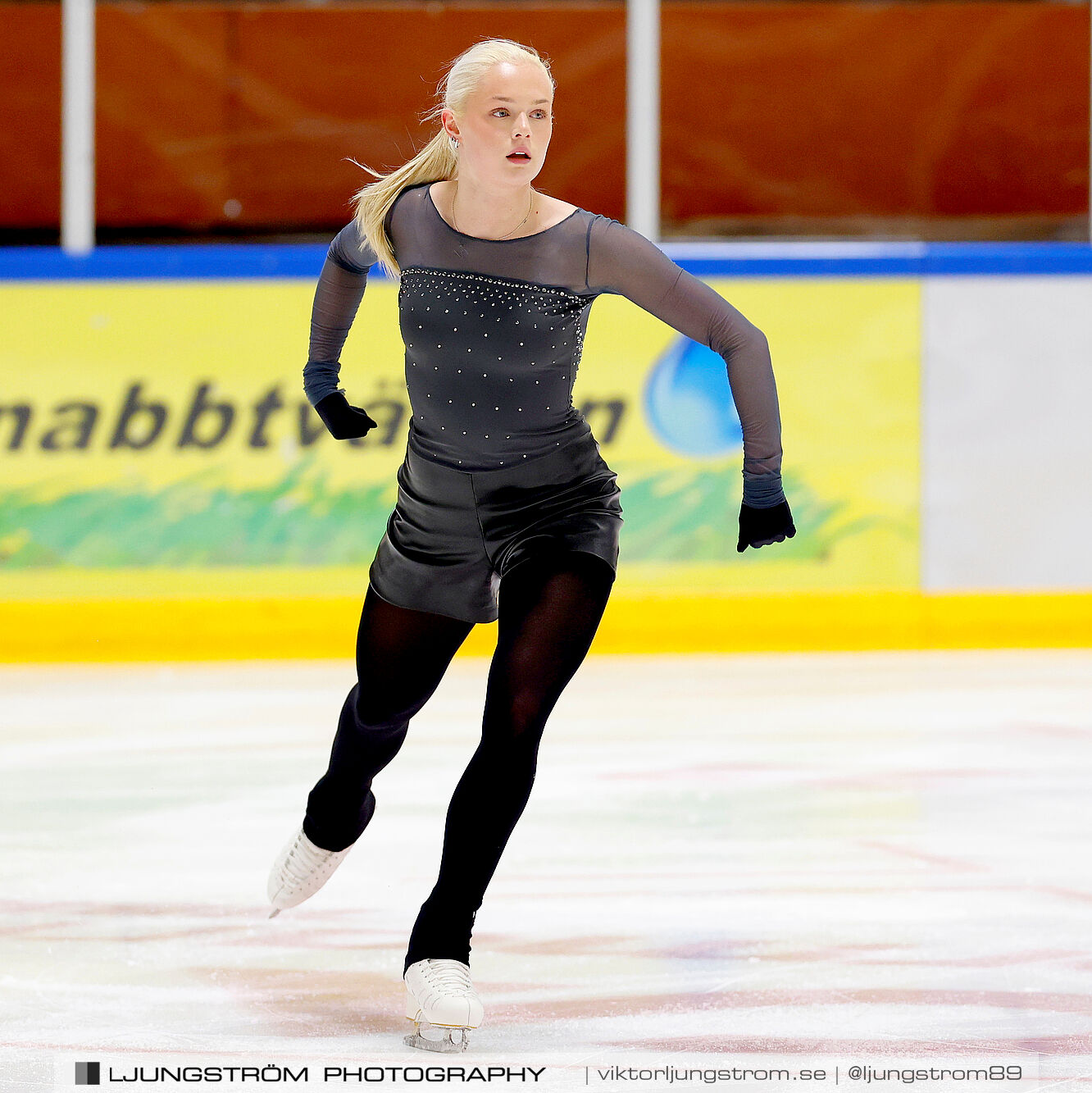Lars Gs Pokal Nationell Serie Seniorer Damer,dam,Tibro Ishall,Tibro,Sverige,Konståkning,,2024,351735