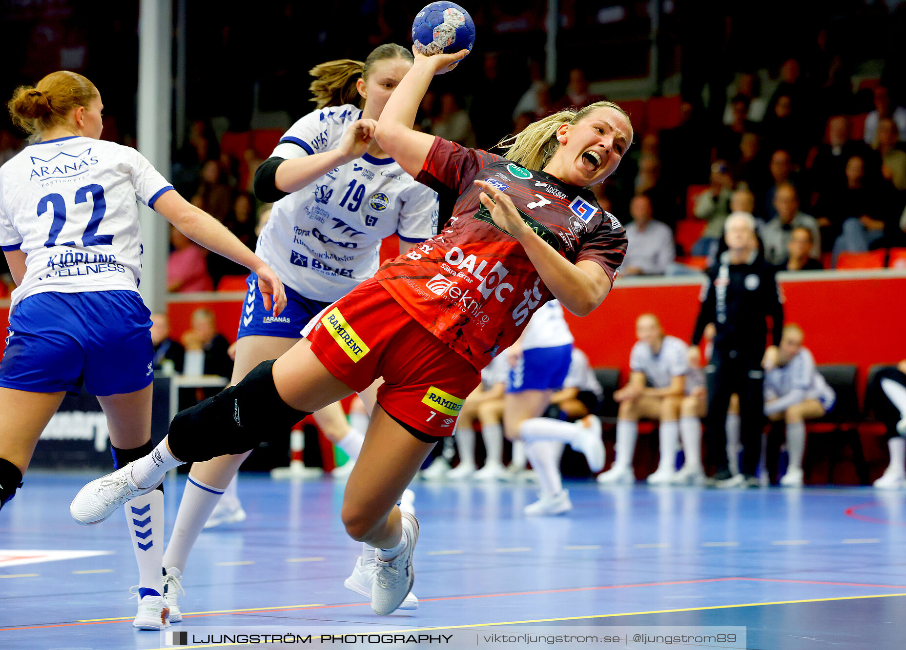 Skövde HF-HK Aranäs 27-29,dam,Skövde Idrottshall,Skövde,Sverige,Handboll,,2024,352430