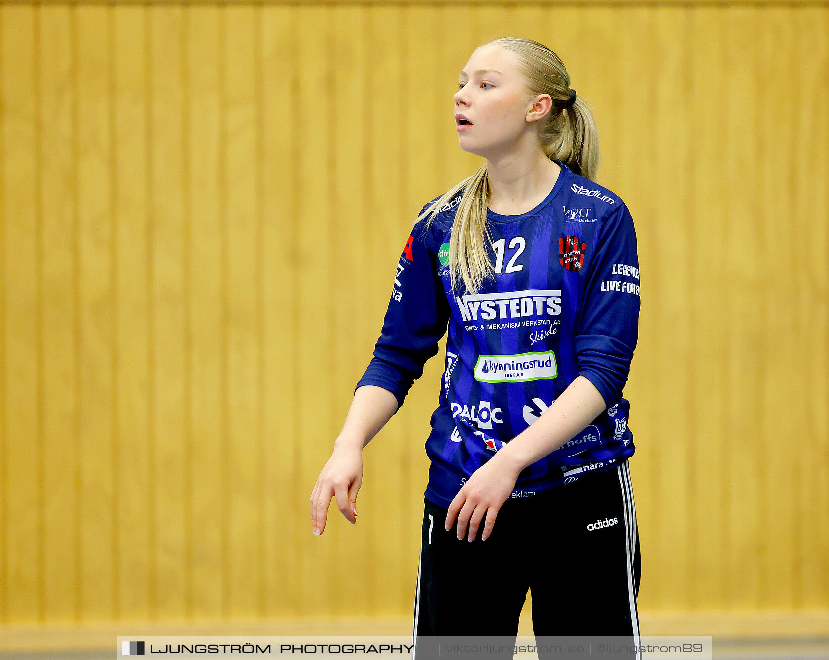 HK Country-Backa HK 24-31,dam,Arena Skövde,Skövde,Sverige,Handboll,,2024,353882