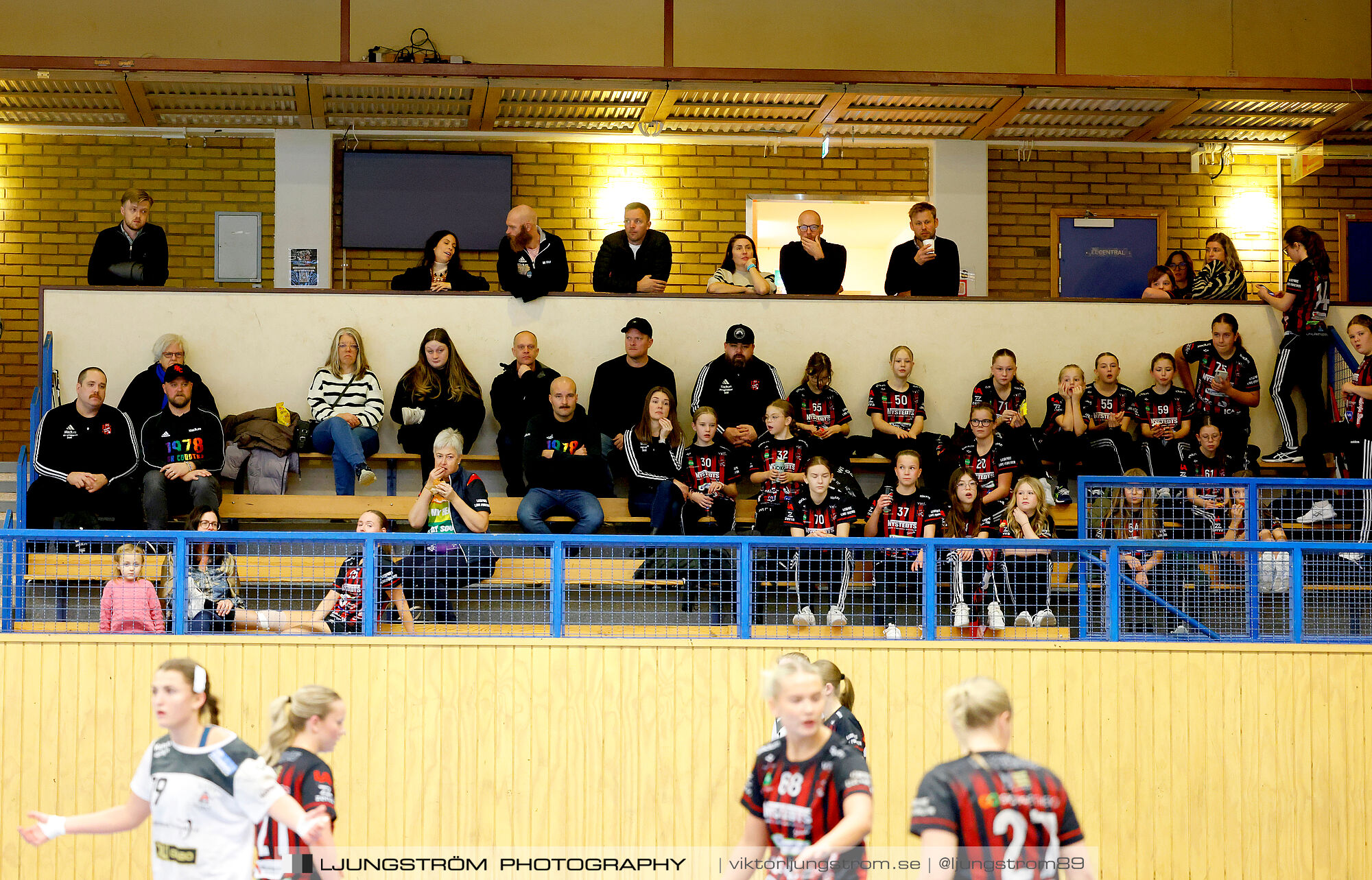 HK Country-Backa HK 24-31,dam,Arena Skövde,Skövde,Sverige,Handboll,,2024,353897