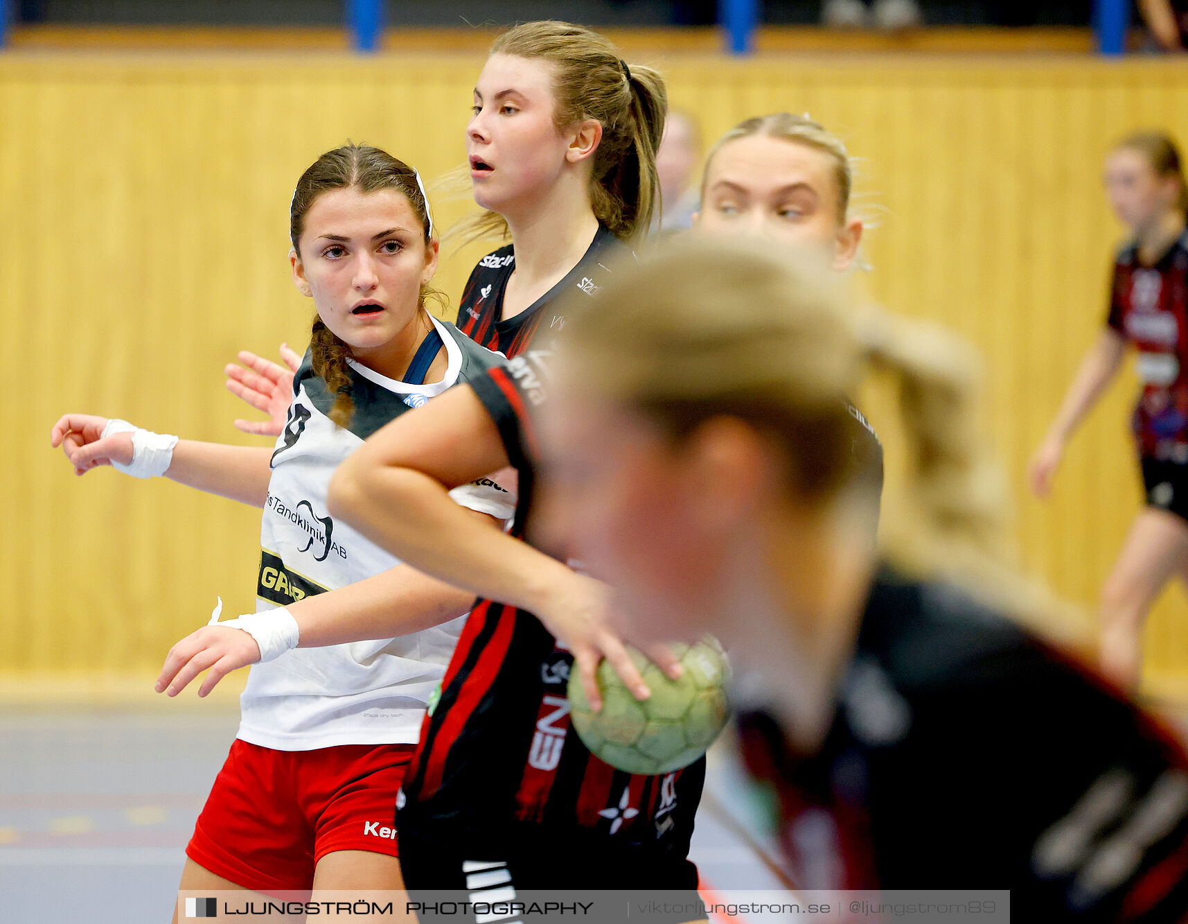 HK Country-Backa HK 24-31,dam,Arena Skövde,Skövde,Sverige,Handboll,,2024,353940