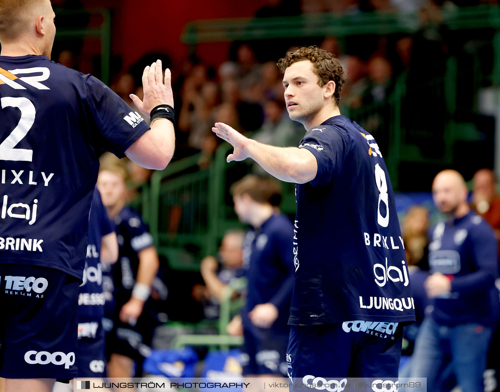 IFK Skövde HK-IF Hallby HK 21-17,herr,Arena Skövde,Skövde,Sverige,Handboll,,2025,367376